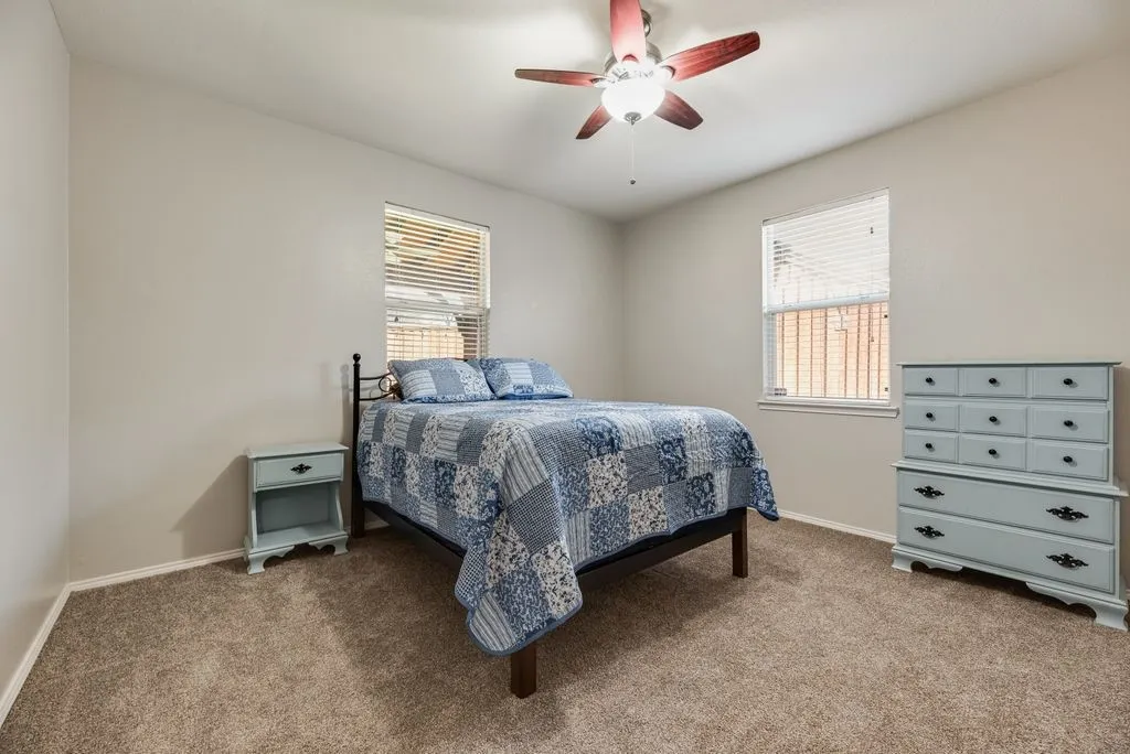 Carpeted room with a ceiling fan, two windows with blinds, and light-toned walls