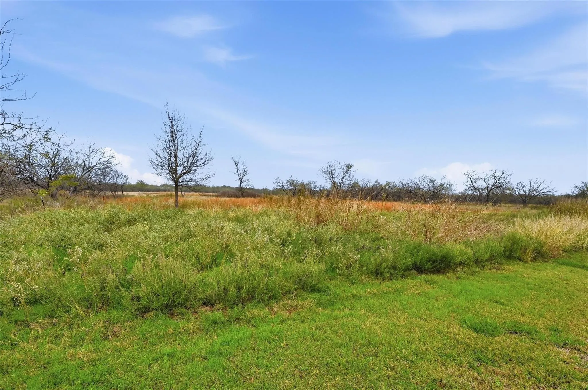 Unimproved Land For Sale in Navarro County , 99 Pisgah Crossing, Corsicana, Texas 75109, 0, 0, Garage spaces, 0 Sqft, built in 0, mls#21380033, Real Estate Agent in Corsicana, Homes For Sale in Navarro county, Homes For Sale in Corsicana, Realtor in Corsicana Texas, Real Estate Brokerage Independent Realty Texas, Luminita Cordes Realtor
