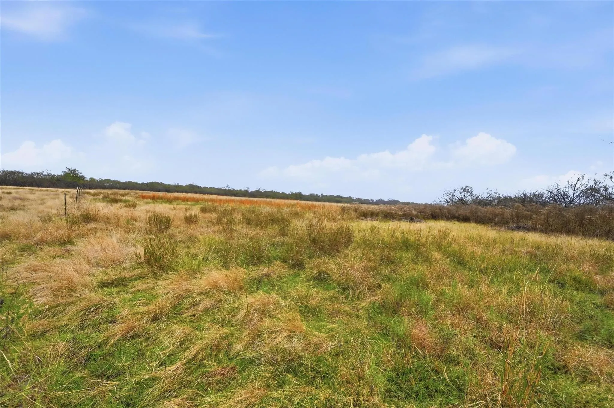 Unimproved Land For Sale in Navarro County , 99 Pisgah Crossing, Corsicana, Texas 75109, 0, 0, Garage spaces, 0 Sqft, built in 0, mls#21380033, Real Estate Agent in Corsicana, Homes For Sale in Navarro county, Homes For Sale in Corsicana, Realtor in Corsicana Texas, Real Estate Brokerage Independent Realty Texas, Luminita Cordes Realtor