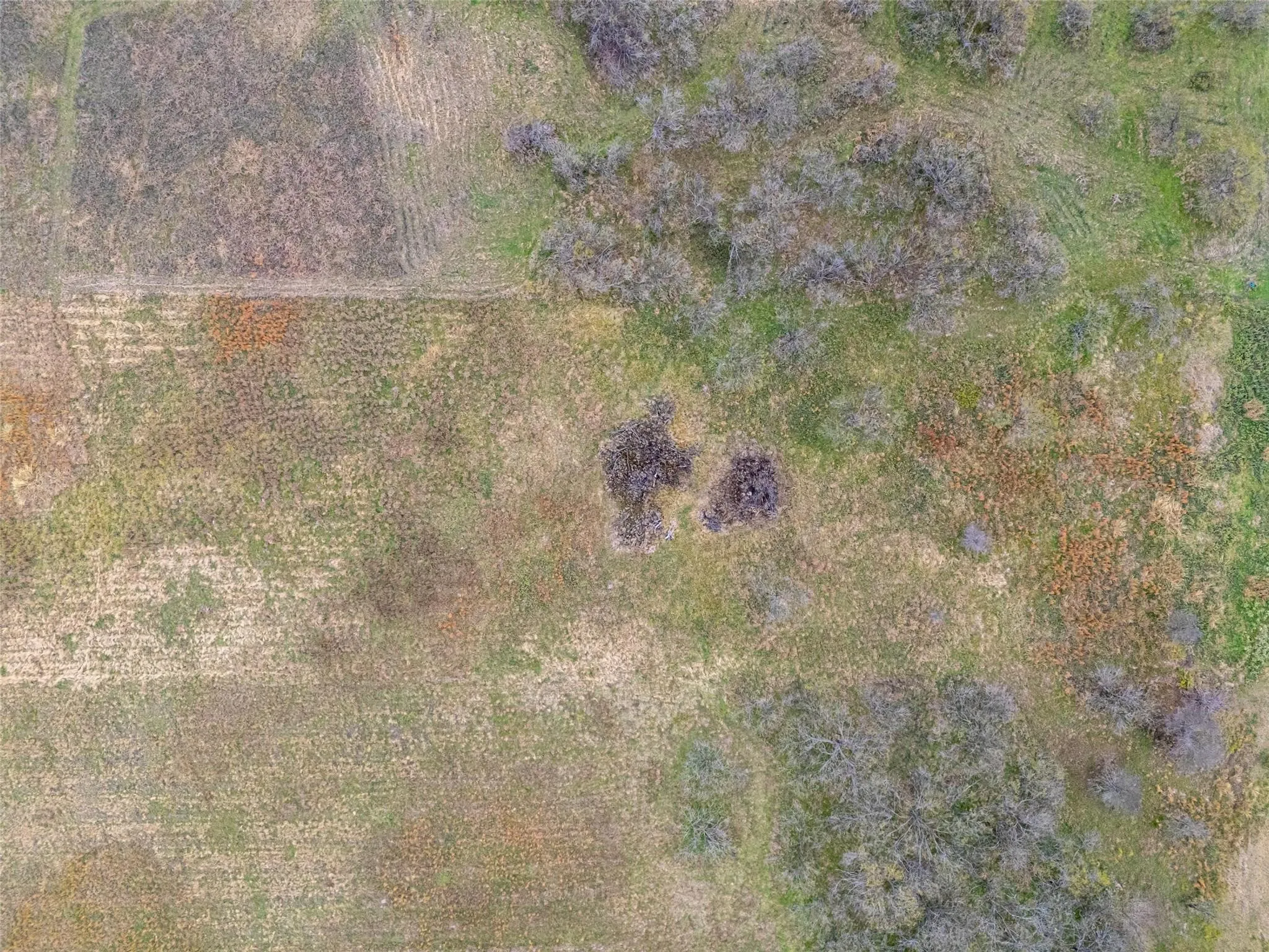 Unimproved Land For Sale in Navarro County , 99 Pisgah Crossing, Corsicana, Texas 75109, 0, 0, Garage spaces, 0 Sqft, built in 0, mls#21380033, Real Estate Agent in Corsicana, Homes For Sale in Navarro county, Homes For Sale in Corsicana, Realtor in Corsicana Texas, Real Estate Brokerage Independent Realty Texas, Luminita Cordes Realtor