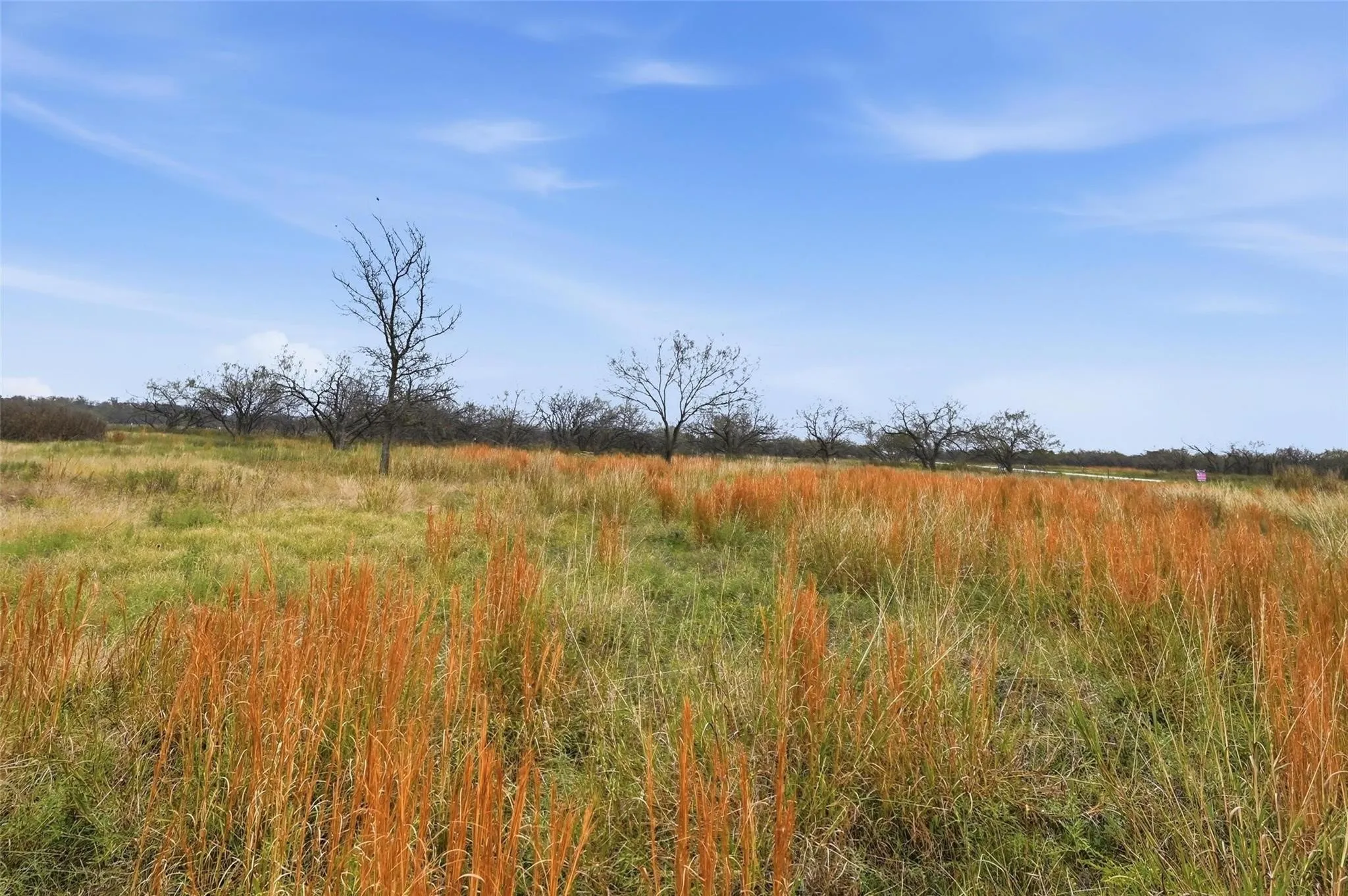 Unimproved Land For Sale in Navarro County , 99 Pisgah Crossing, Corsicana, Texas 75109, 0, 0, Garage spaces, 0 Sqft, built in 0, mls#21380033, Real Estate Agent in Corsicana, Homes For Sale in Navarro county, Homes For Sale in Corsicana, Realtor in Corsicana Texas, Real Estate Brokerage Independent Realty Texas, Luminita Cordes Realtor