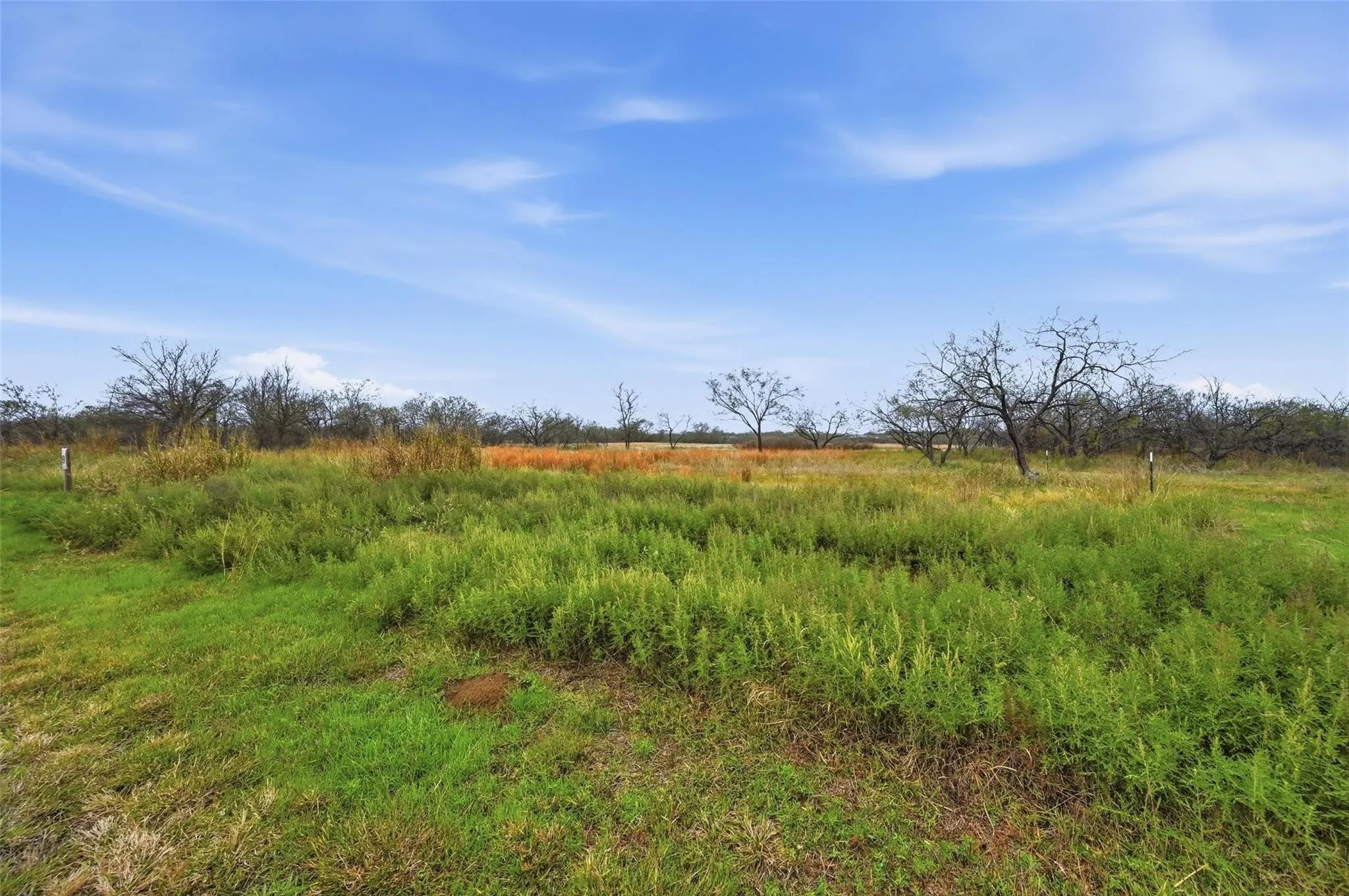Unimproved Land For Sale in Navarro County , 99 Pisgah Crossing, Corsicana, Texas 75109, 0, 0, Garage spaces, 0 Sqft, built in 0, mls#21380033, Real Estate Agent in Corsicana, Homes For Sale in Navarro county, Homes For Sale in Corsicana, Realtor in Corsicana Texas, Real Estate Brokerage Independent Realty Texas, Luminita Cordes Realtor
