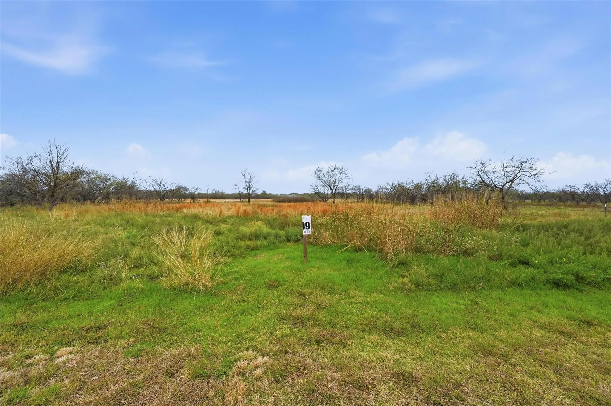 Unimproved Land For Sale in Navarro County , 99 Pisgah Crossing, Corsicana, Texas 75109, 0, 0, Garage spaces, 0 Sqft, built in 0, mls#21380033, Real Estate Agent in Corsicana, Homes For Sale in Navarro county, Homes For Sale in Corsicana, Realtor in Corsicana Texas, Real Estate Brokerage Independent Realty Texas, Luminita Cordes Realtor