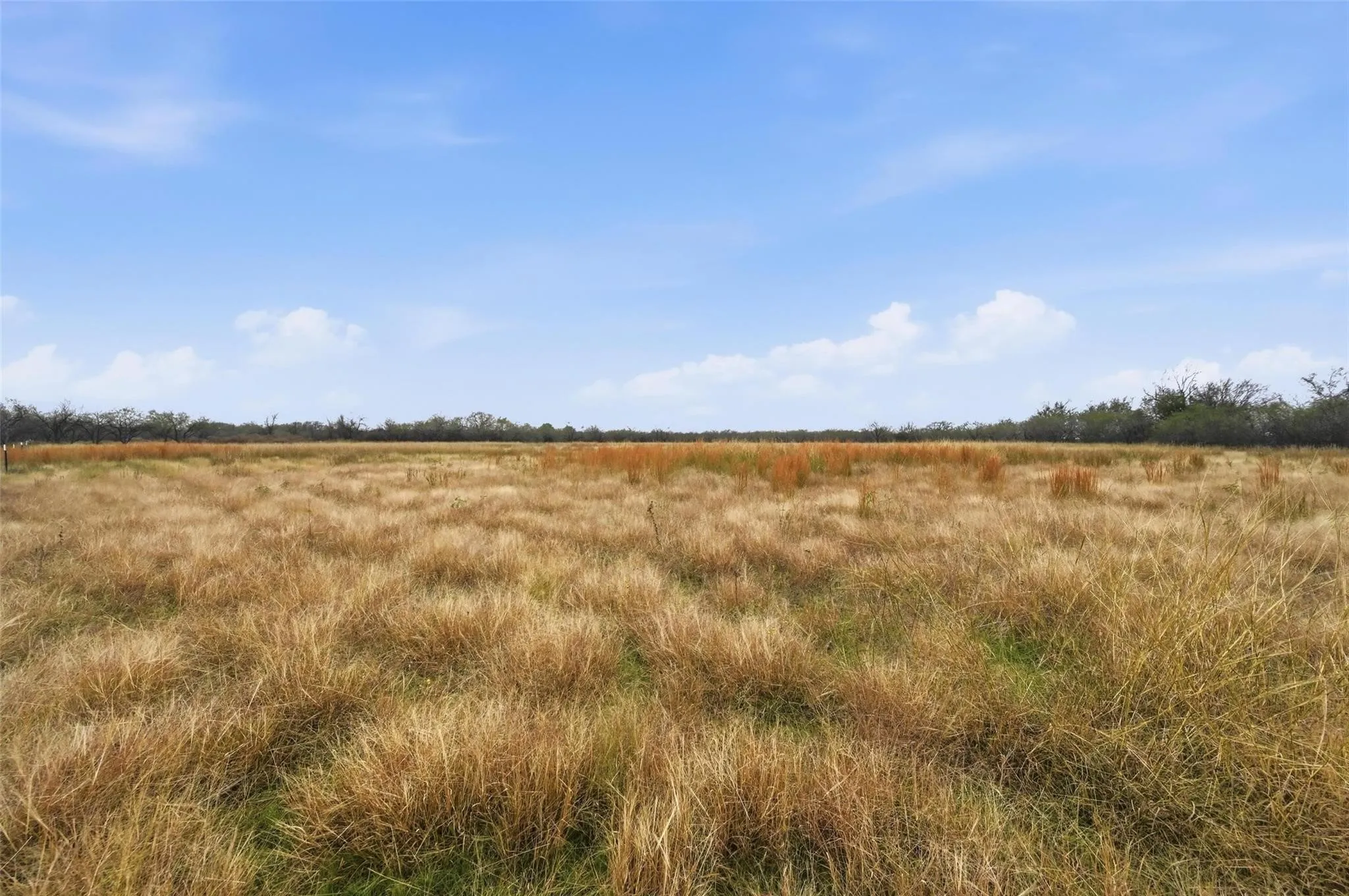 Unimproved Land For Sale in Navarro County , 99 Pisgah Crossing, Corsicana, Texas 75109, 0, 0, Garage spaces, 0 Sqft, built in 0, mls#21380033, Real Estate Agent in Corsicana, Homes For Sale in Navarro county, Homes For Sale in Corsicana, Realtor in Corsicana Texas, Real Estate Brokerage Independent Realty Texas, Luminita Cordes Realtor