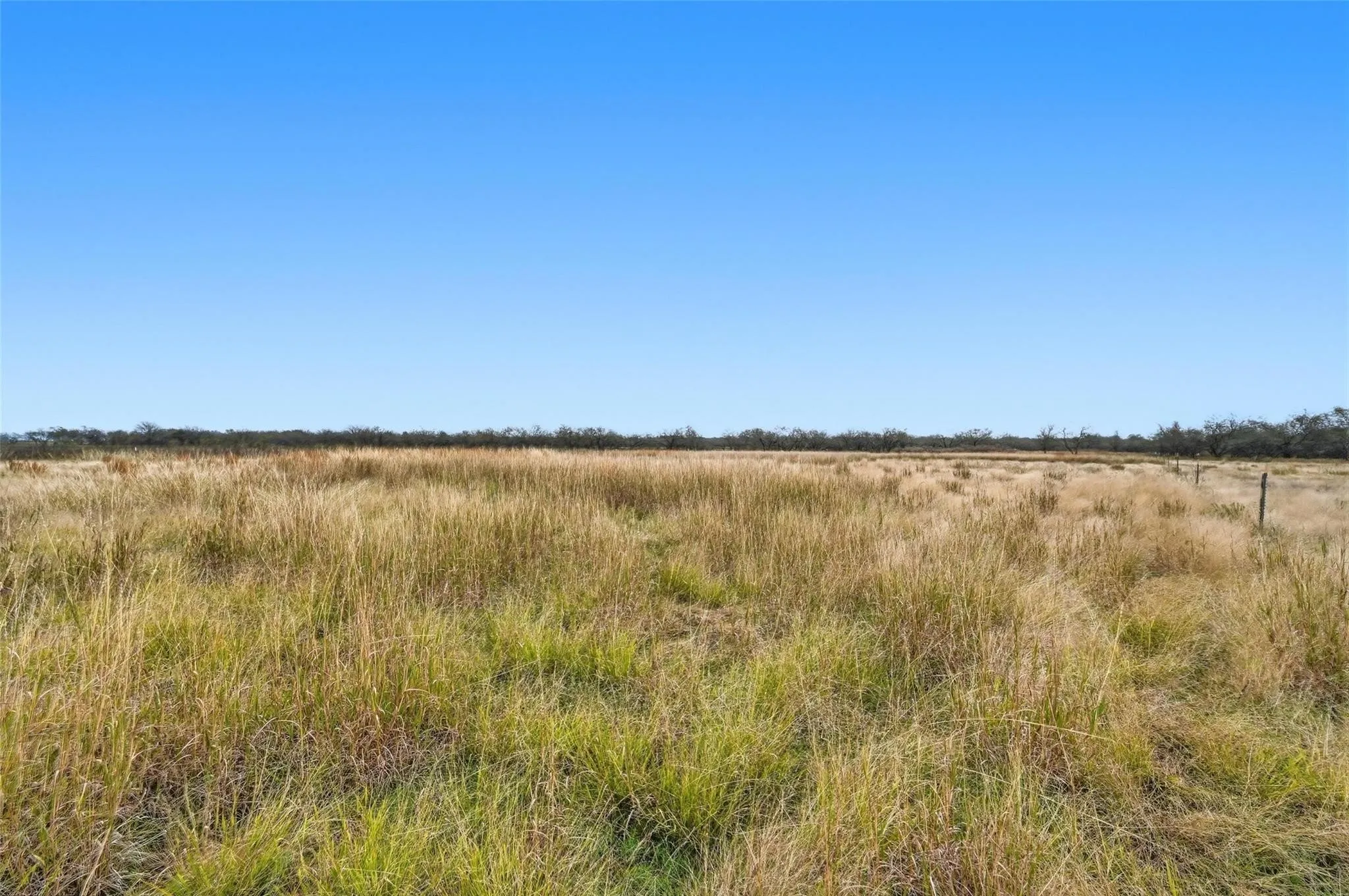 Unimproved Land For Sale in Navarro County , 99 Pisgah Crossing, Corsicana, Texas 75109, 0, 0, Garage spaces, 0 Sqft, built in 0, mls#21380033, Real Estate Agent in Corsicana, Homes For Sale in Navarro county, Homes For Sale in Corsicana, Realtor in Corsicana Texas, Real Estate Brokerage Independent Realty Texas, Luminita Cordes Realtor