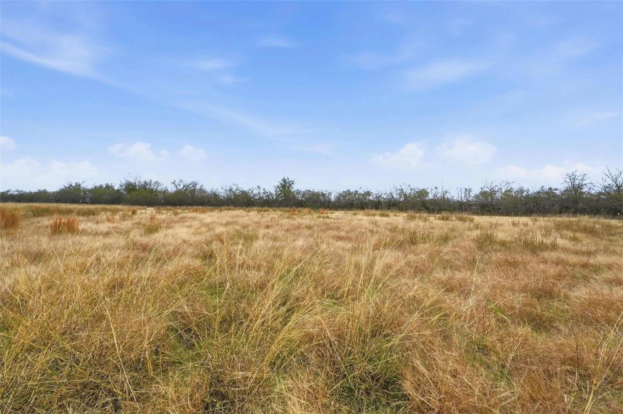 Unimproved Land For Sale in Navarro County , 99 Pisgah Crossing, Corsicana, Texas 75109, 0, 0, Garage spaces, 0 Sqft, built in 0, mls#21380033, Real Estate Agent in Corsicana, Homes For Sale in Navarro county, Homes For Sale in Corsicana, Realtor in Corsicana Texas, Real Estate Brokerage Independent Realty Texas, Luminita Cordes Realtor