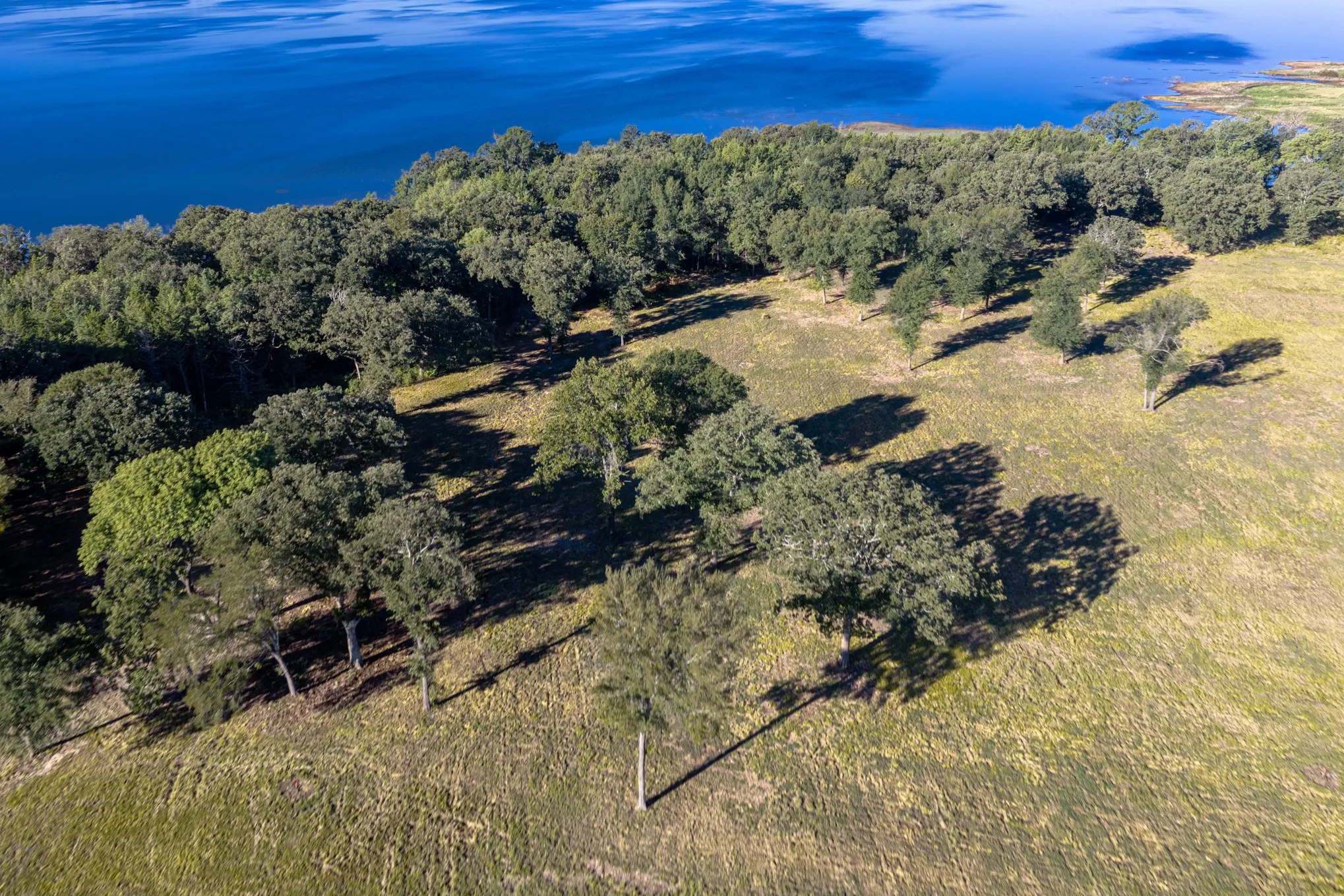 Unimproved Land For Sale in Fannin County , 360 Lakewood Lane, Honey Grove, Texas 75446, 0, 0, Garage spaces, 0 Sqft, built in 0, mls#21402938, Real Estate Agent in Honey Grove, Homes For Sale in Fannin county, Homes For Sale in Honey Grove, Realtor in Honey Grove Texas, Real Estate Brokerage Independent Realty Texas, Luminita Cordes Realtor