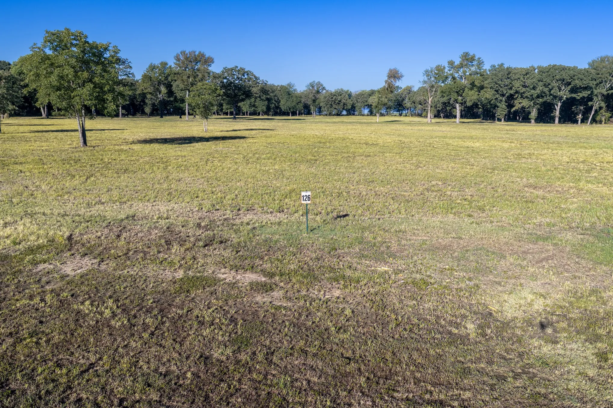 Unimproved Land For Sale in Fannin County , 360 Lakewood Lane, Honey Grove, Texas 75446, 0, 0, Garage spaces, 0 Sqft, built in 0, mls#21402938, Real Estate Agent in Honey Grove, Homes For Sale in Fannin county, Homes For Sale in Honey Grove, Realtor in Honey Grove Texas, Real Estate Brokerage Independent Realty Texas, Luminita Cordes Realtor