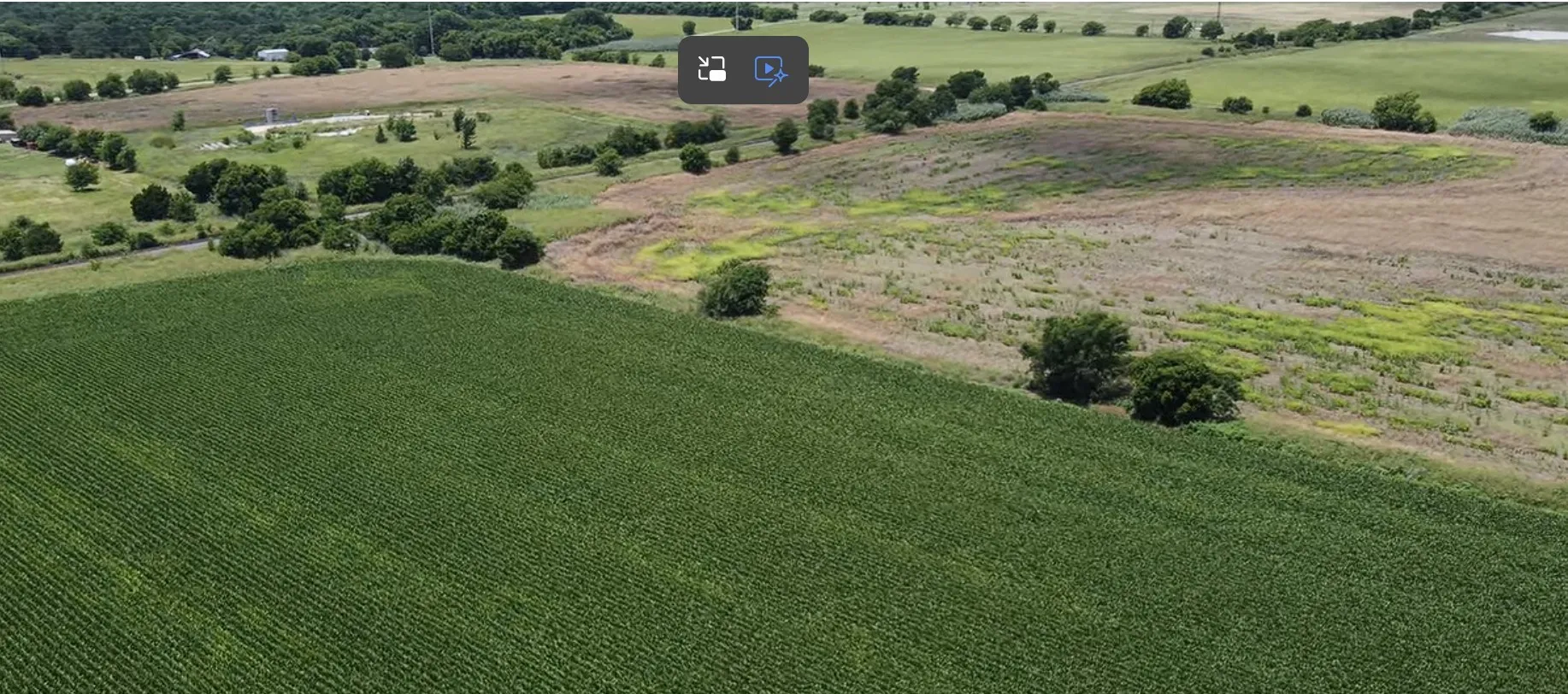 Unimproved Land For Sale in Johnson County , 5301 County Road 401, Grandview, Texas 76050, 0, 0, Garage spaces, 0 Sqft, built in 1900, mls#21404843, Real Estate Agent in Grandview, Homes For Sale in Johnson county, Homes For Sale in Grandview, Realtor in Grandview Texas, Real Estate Brokerage Independent Realty Texas, Luminita Cordes Realtor
