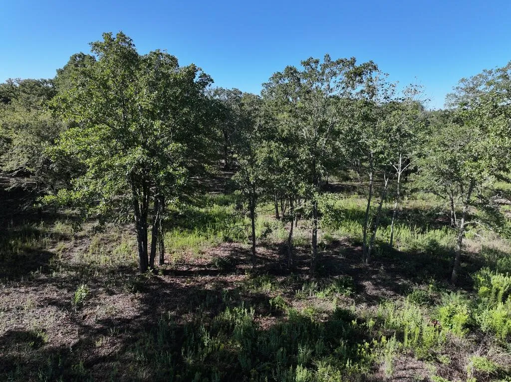 Unimproved Land For Sale in Henderson County , 8602 CR 2448, Kemp, Texas 75143, 0, 0, Garage spaces, 0 Sqft, built in 0, mls#21404935, Real Estate Agent in Kemp, Homes For Sale in Henderson county, Homes For Sale in Kemp, Realtor in Kemp Texas, Real Estate Brokerage Independent Realty Texas, Luminita Cordes Realtor