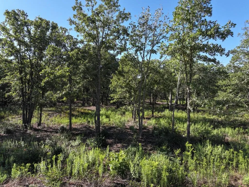Unimproved Land For Sale in Henderson County , 8602 CR 2448, Kemp, Texas 75143, 0, 0, Garage spaces, 0 Sqft, built in 0, mls#21404935, Real Estate Agent in Kemp, Homes For Sale in Henderson county, Homes For Sale in Kemp, Realtor in Kemp Texas, Real Estate Brokerage Independent Realty Texas, Luminita Cordes Realtor