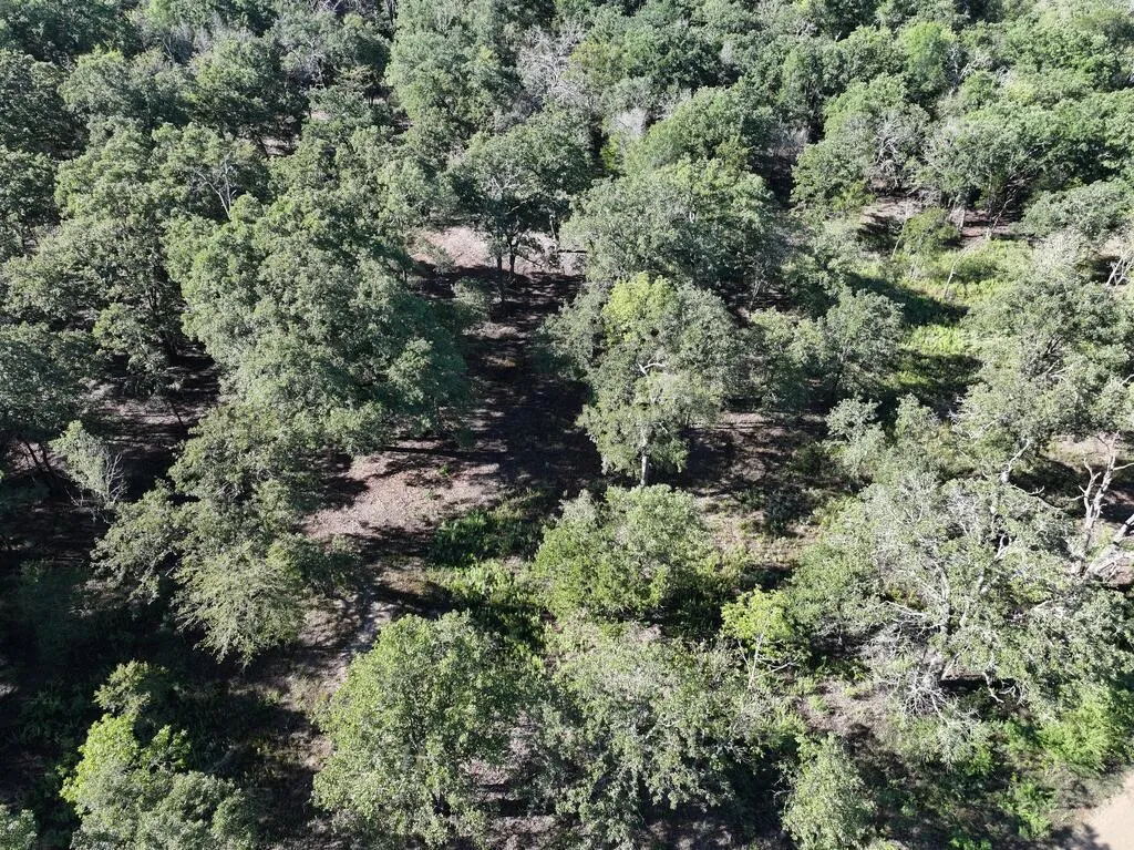 Unimproved Land For Sale in Henderson County , 8602 CR 2448, Kemp, Texas 75143, 0, 0, Garage spaces, 0 Sqft, built in 0, mls#21404935, Real Estate Agent in Kemp, Homes For Sale in Henderson county, Homes For Sale in Kemp, Realtor in Kemp Texas, Real Estate Brokerage Independent Realty Texas, Luminita Cordes Realtor