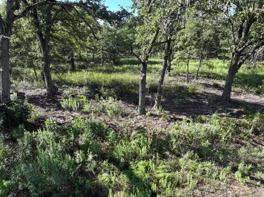 Unimproved Land For Sale in Henderson County , 8602 CR 2448, Kemp, Texas 75143, 0, 0, Garage spaces, 0 Sqft, built in 0, mls#21404935, Real Estate Agent in Kemp, Homes For Sale in Henderson county, Homes For Sale in Kemp, Realtor in Kemp Texas, Real Estate Brokerage Independent Realty Texas, Luminita Cordes Realtor