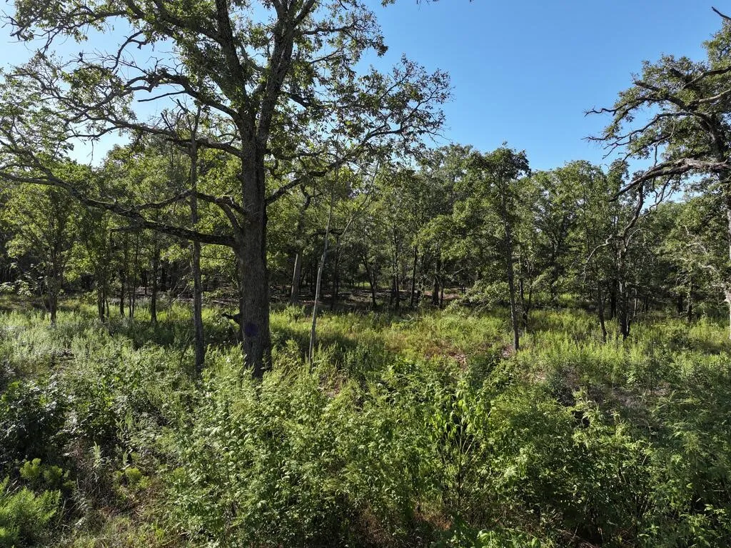 Unimproved Land For Sale in Henderson County , 8602 CR 2448, Kemp, Texas 75143, 0, 0, Garage spaces, 0 Sqft, built in 0, mls#21404935, Real Estate Agent in Kemp, Homes For Sale in Henderson county, Homes For Sale in Kemp, Realtor in Kemp Texas, Real Estate Brokerage Independent Realty Texas, Luminita Cordes Realtor