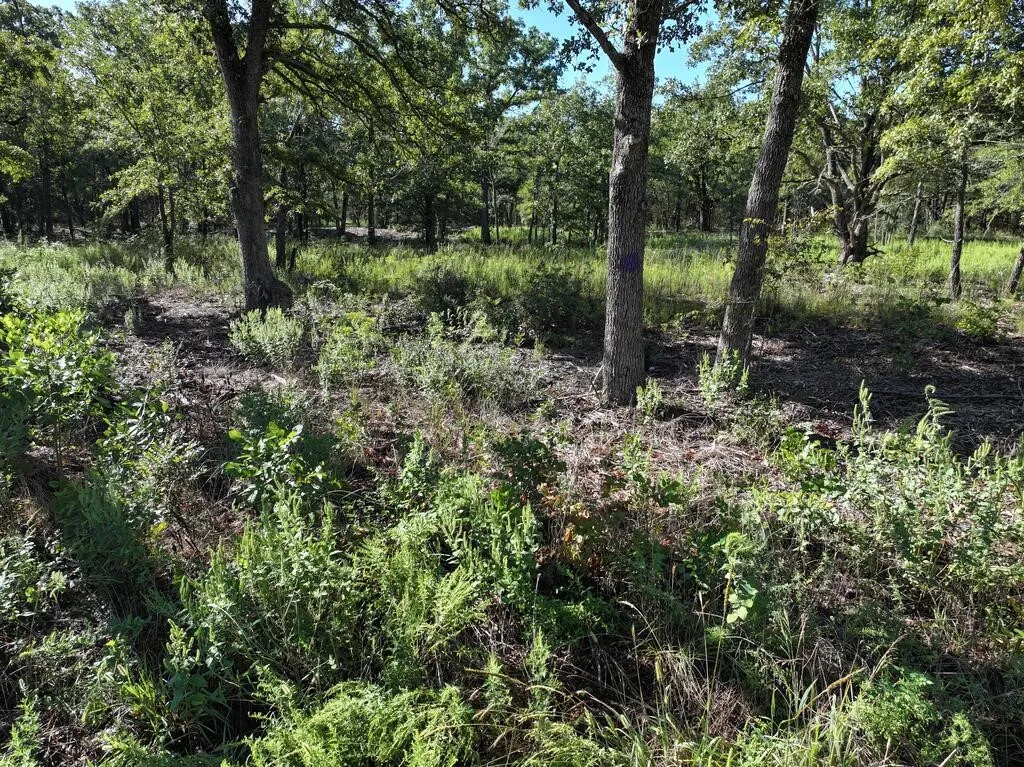 Unimproved Land For Sale in Henderson County , 8602 CR 2448, Kemp, Texas 75143, 0, 0, Garage spaces, 0 Sqft, built in 0, mls#21404935, Real Estate Agent in Kemp, Homes For Sale in Henderson county, Homes For Sale in Kemp, Realtor in Kemp Texas, Real Estate Brokerage Independent Realty Texas, Luminita Cordes Realtor