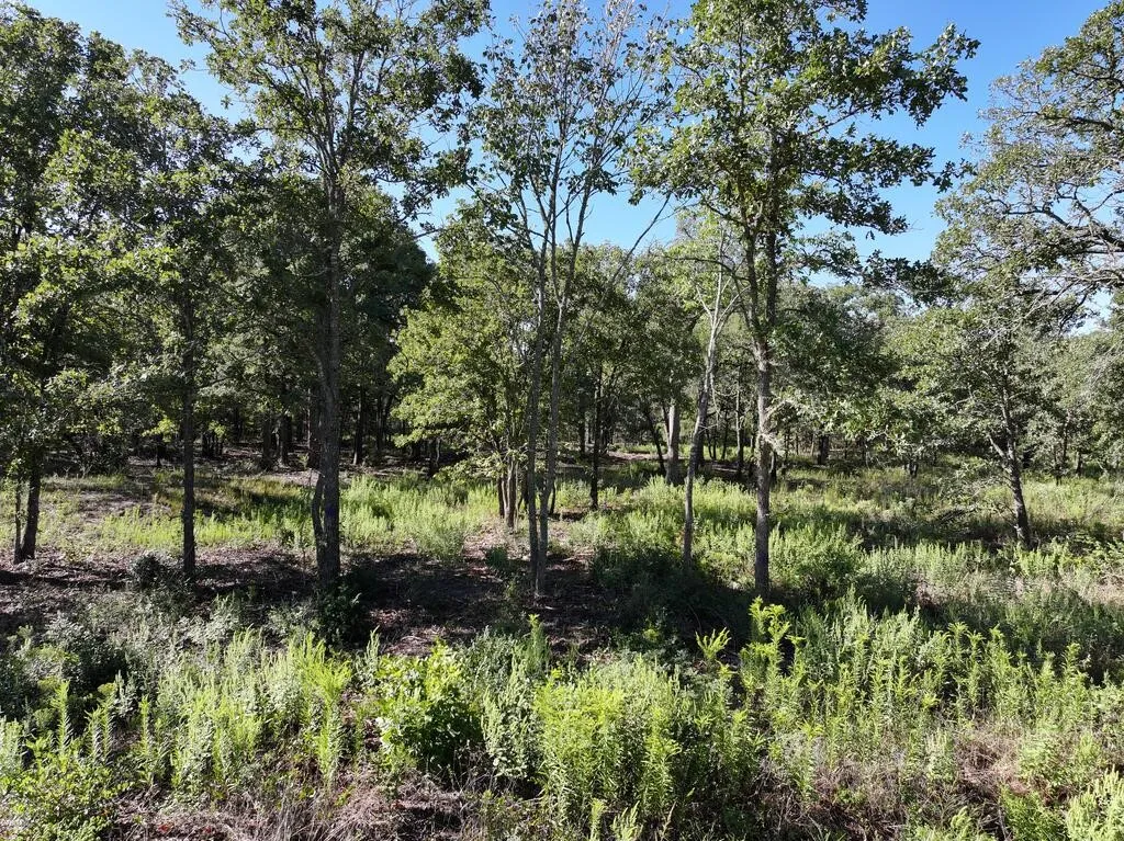 Unimproved Land For Sale in Henderson County , 8602 CR 2448, Kemp, Texas 75143, 0, 0, Garage spaces, 0 Sqft, built in 0, mls#21404935, Real Estate Agent in Kemp, Homes For Sale in Henderson county, Homes For Sale in Kemp, Realtor in Kemp Texas, Real Estate Brokerage Independent Realty Texas, Luminita Cordes Realtor