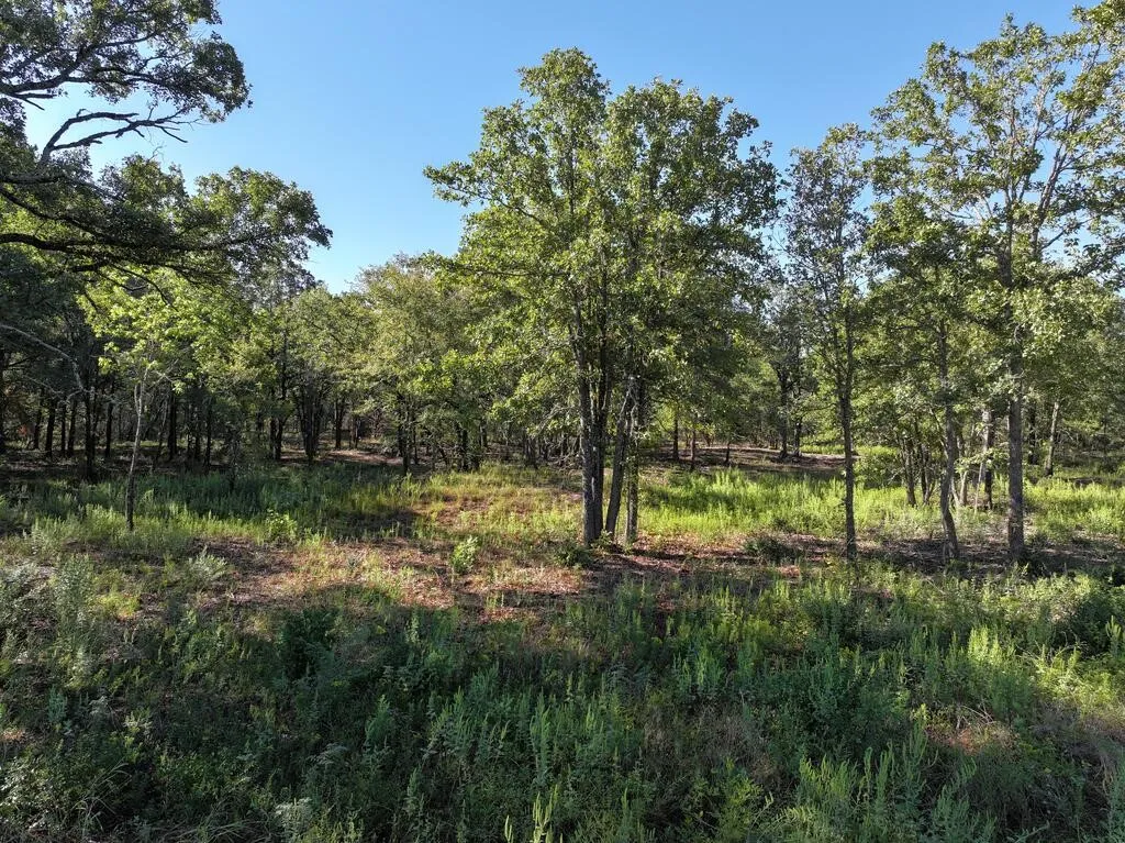 Unimproved Land For Sale in Henderson County , 8602 CR 2448, Kemp, Texas 75143, 0, 0, Garage spaces, 0 Sqft, built in 0, mls#21404935, Real Estate Agent in Kemp, Homes For Sale in Henderson county, Homes For Sale in Kemp, Realtor in Kemp Texas, Real Estate Brokerage Independent Realty Texas, Luminita Cordes Realtor