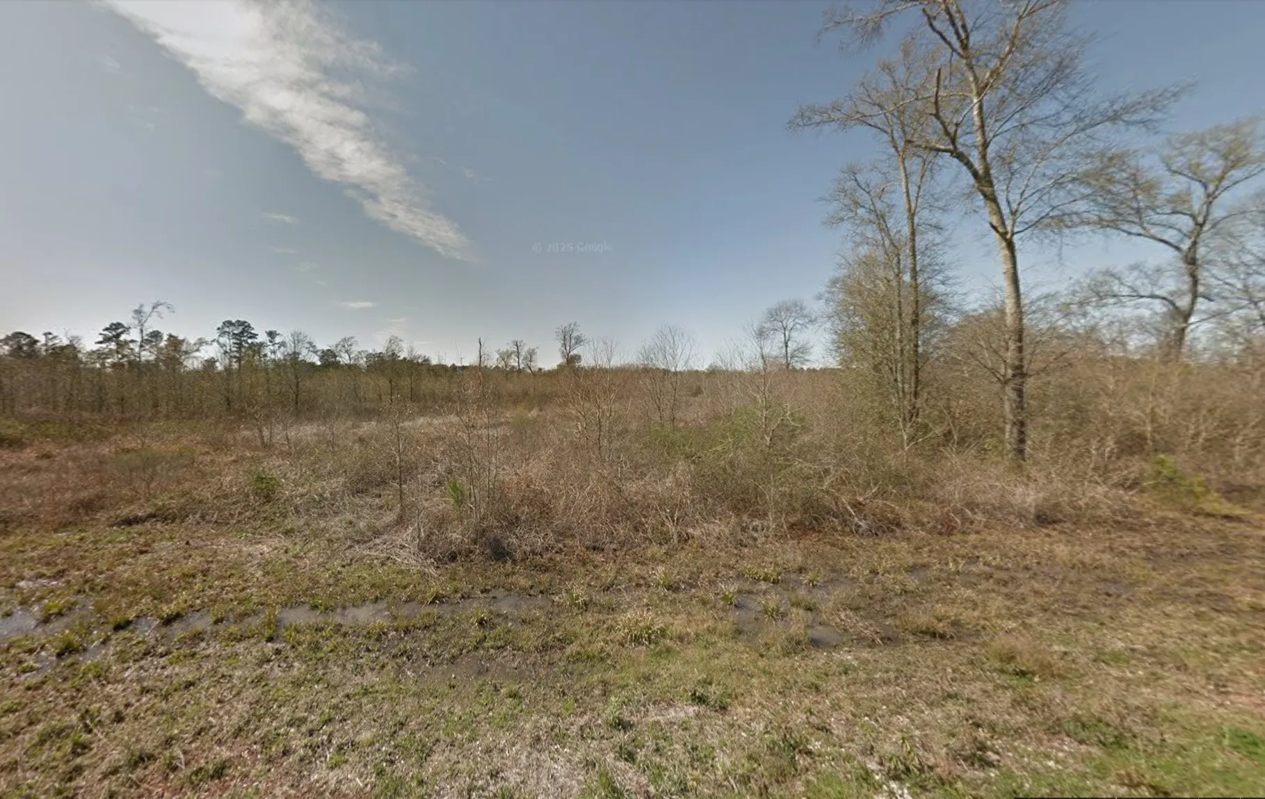 Unimproved Land For Sale in Orange County , TBD Polar Road, Orange, Texas 77632, 0, 0, Garage spaces, 0 Sqft, built in 0, mls#21404953, Real Estate Agent in Orange, Homes For Sale in Orange county, Homes For Sale in Orange, Realtor in Orange Texas, Real Estate Brokerage Independent Realty Texas, Luminita Cordes Realtor