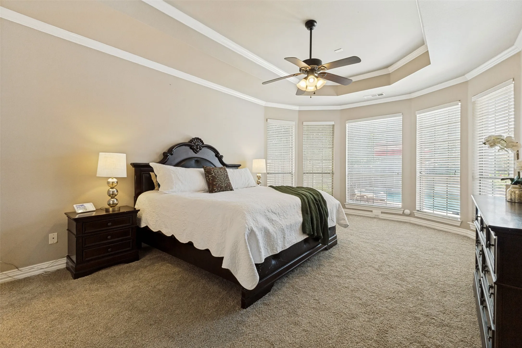 Carpeted room featuring a ceiling fan, tray ceiling, and a bay window with multiple windows