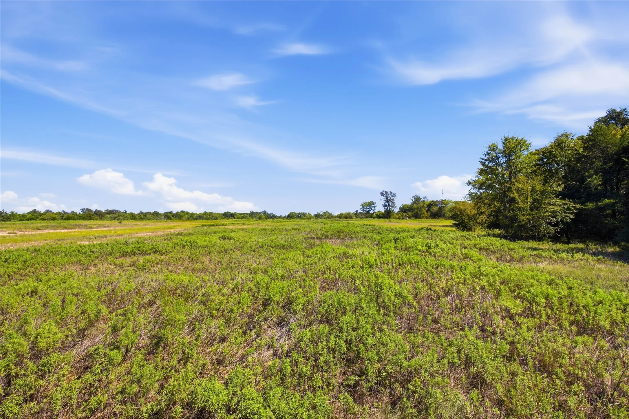 Unimproved Land For Sale in Hunt County , 0 Roy Warren Parkway, Greenville, Texas 75402, 0, 0, Garage spaces, 0 Sqft, built in 0, mls#21405003, Real Estate Agent in Greenville, Homes For Sale in Hunt county, Homes For Sale in Greenville, Realtor in Greenville Texas, Real Estate Brokerage Independent Realty Texas, Luminita Cordes Realtor