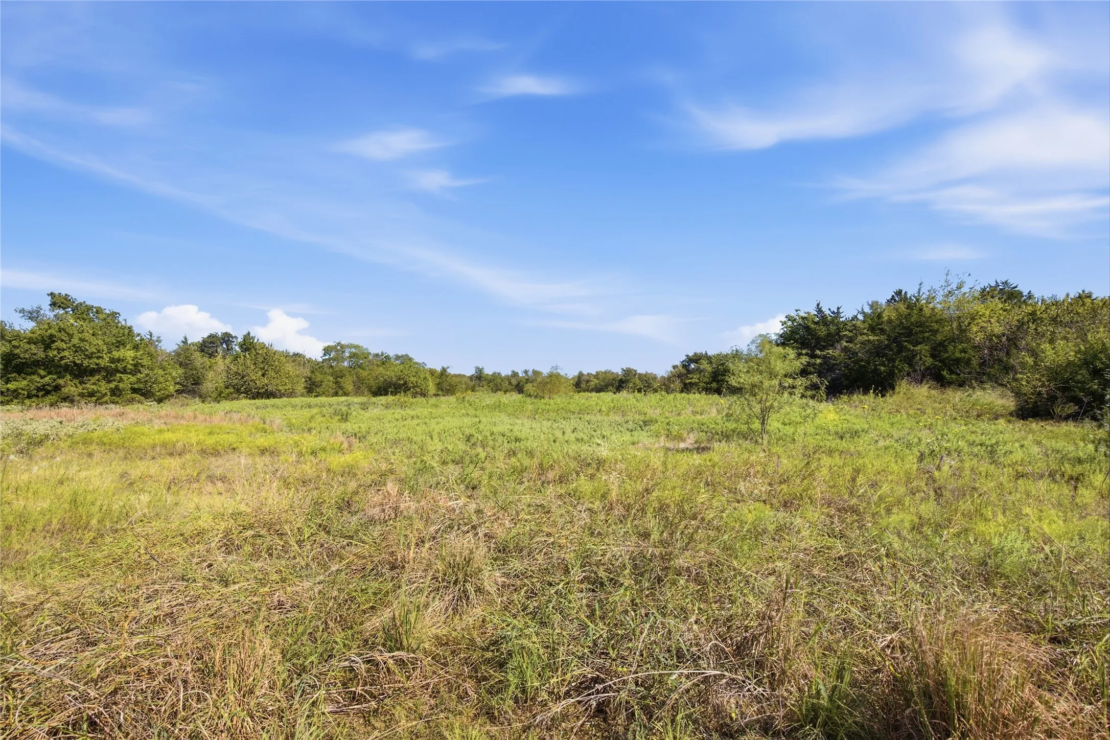 Unimproved Land For Sale in Hunt County , 0 Roy Warren Parkway, Greenville, Texas 75402, 0, 0, Garage spaces, 0 Sqft, built in 0, mls#21405003, Real Estate Agent in Greenville, Homes For Sale in Hunt county, Homes For Sale in Greenville, Realtor in Greenville Texas, Real Estate Brokerage Independent Realty Texas, Luminita Cordes Realtor