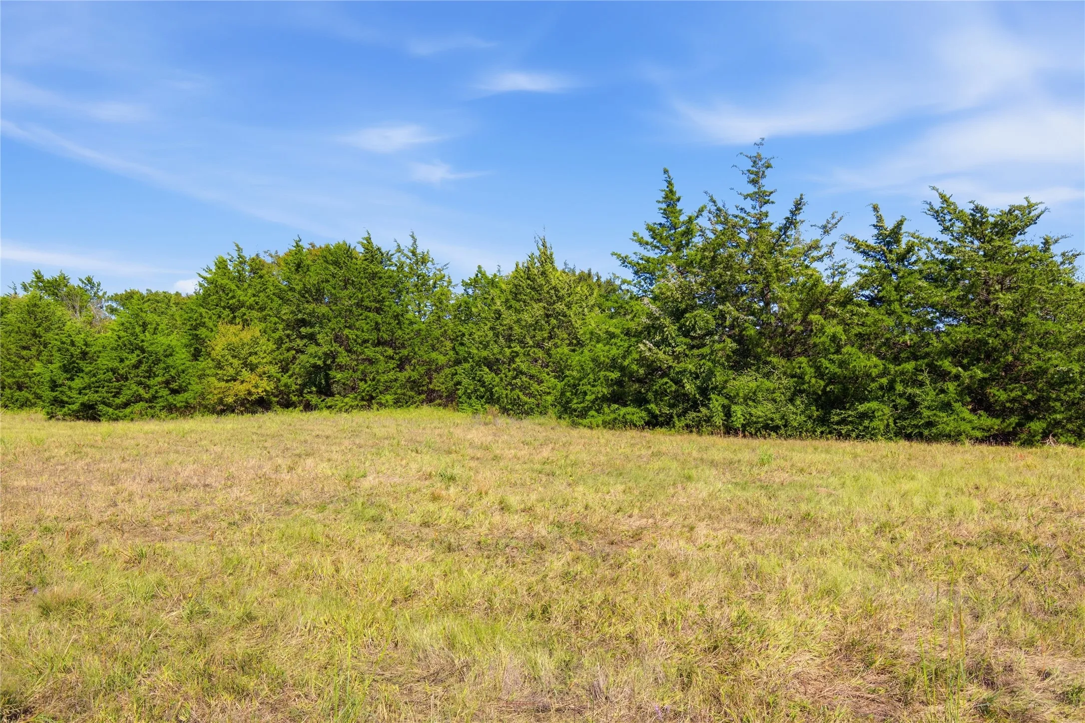 Unimproved Land For Sale in Hunt County , 0 Roy Warren Parkway, Greenville, Texas 75402, 0, 0, Garage spaces, 0 Sqft, built in 0, mls#21405003, Real Estate Agent in Greenville, Homes For Sale in Hunt county, Homes For Sale in Greenville, Realtor in Greenville Texas, Real Estate Brokerage Independent Realty Texas, Luminita Cordes Realtor