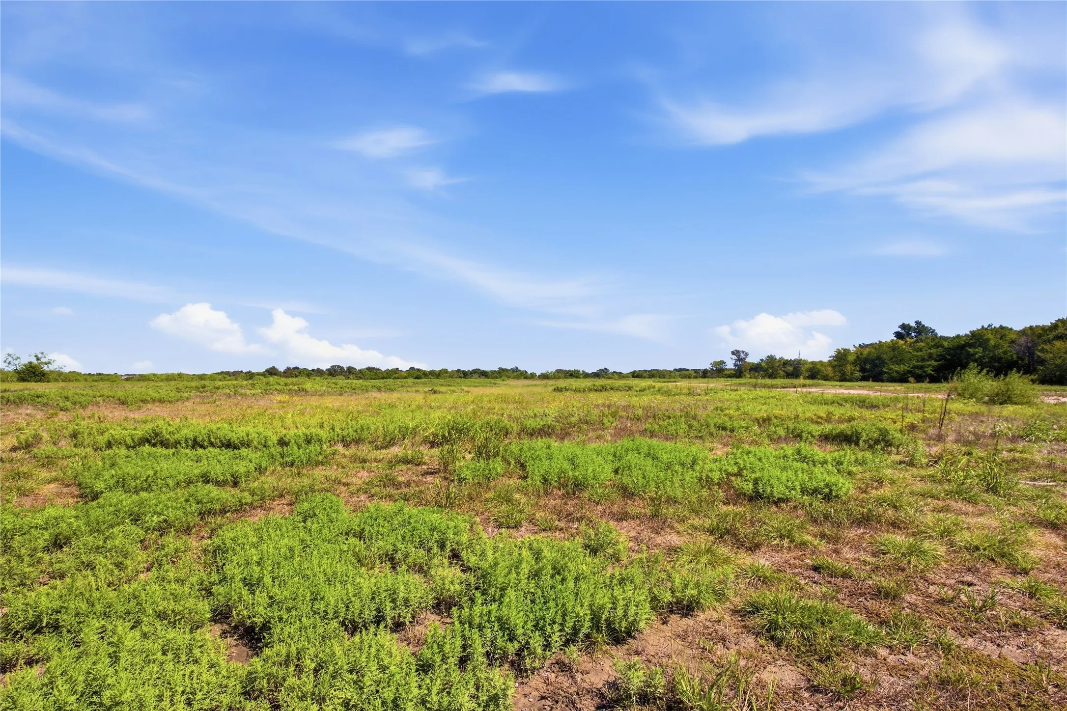 Unimproved Land For Sale in Hunt County , 0 Roy Warren Parkway, Greenville, Texas 75402, 0, 0, Garage spaces, 0 Sqft, built in 0, mls#21405003, Real Estate Agent in Greenville, Homes For Sale in Hunt county, Homes For Sale in Greenville, Realtor in Greenville Texas, Real Estate Brokerage Independent Realty Texas, Luminita Cordes Realtor