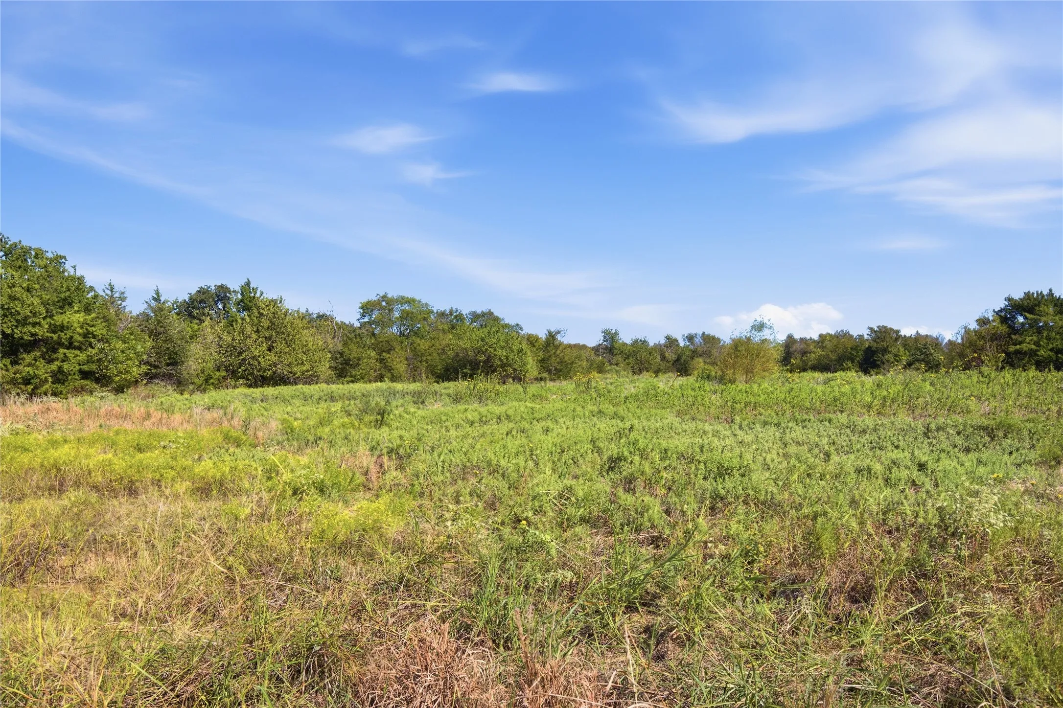 Unimproved Land For Sale in Hunt County , 0 Roy Warren Parkway, Greenville, Texas 75402, 0, 0, Garage spaces, 0 Sqft, built in 0, mls#21405003, Real Estate Agent in Greenville, Homes For Sale in Hunt county, Homes For Sale in Greenville, Realtor in Greenville Texas, Real Estate Brokerage Independent Realty Texas, Luminita Cordes Realtor