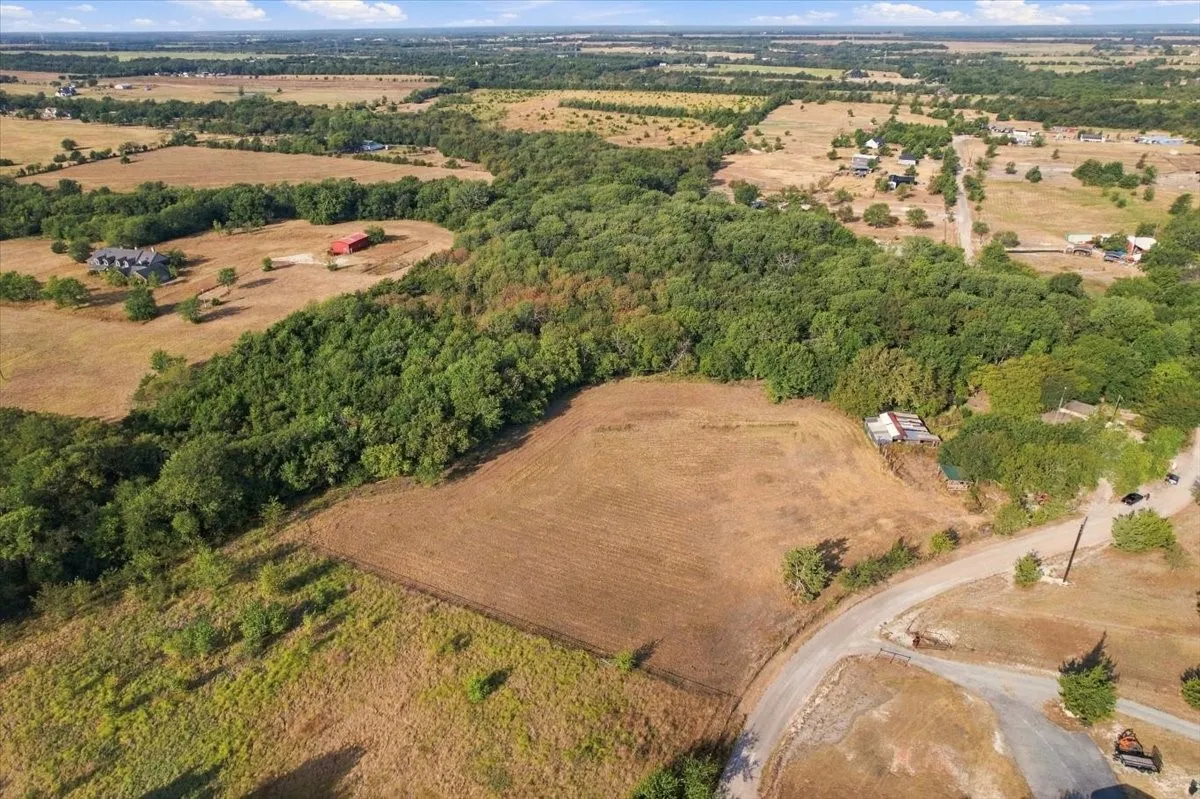 Unimproved Land For Sale in Fannin County , 435 County Road 4446, Whitewright, Texas 75491, 0, 0, Garage spaces, 0 Sqft, built in 2000, mls#21404335, Real Estate Agent in Whitewright, Homes For Sale in Fannin county, Homes For Sale in Whitewright, Realtor in Whitewright Texas, Real Estate Brokerage Independent Realty Texas, Luminita Cordes Realtor