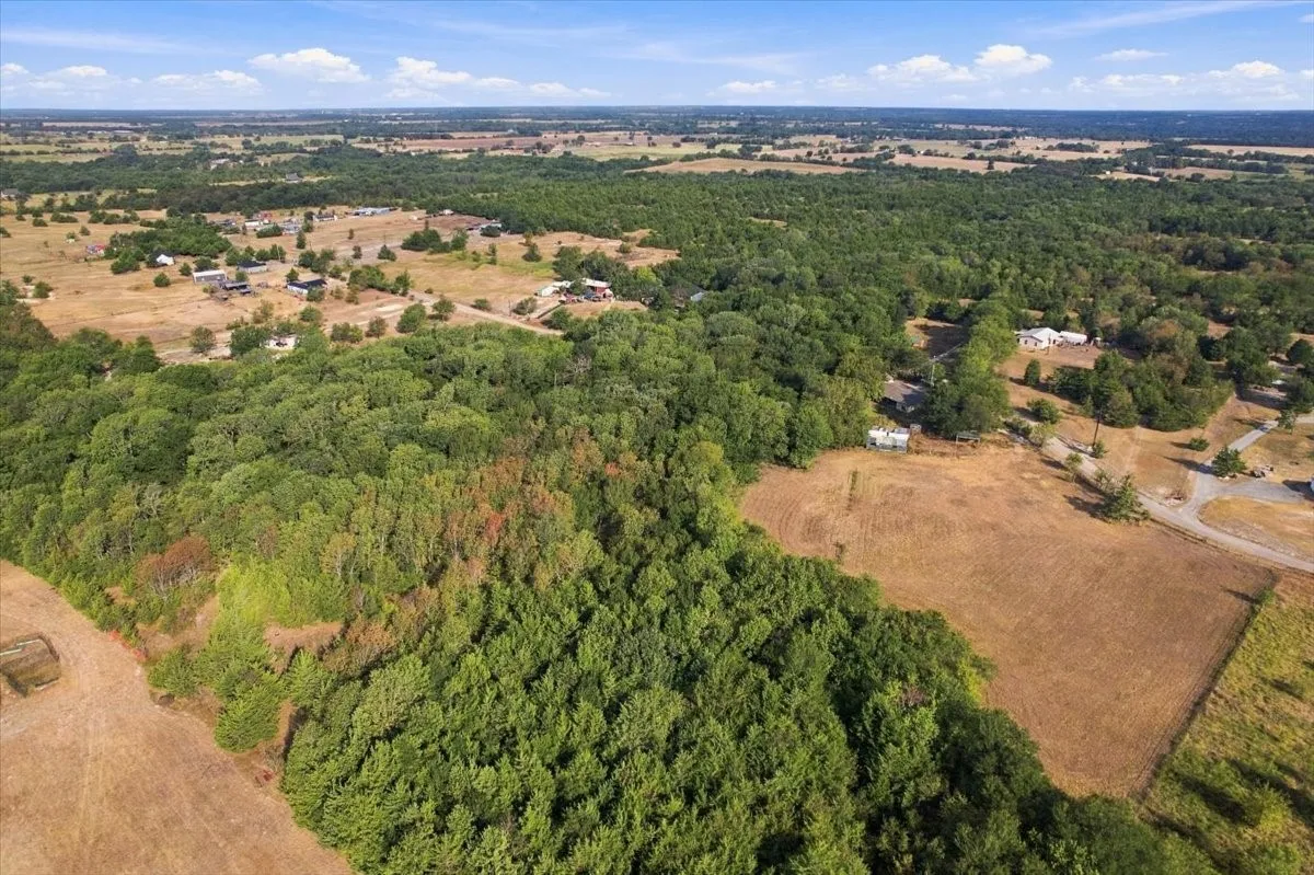 Unimproved Land For Sale in Fannin County , 435 County Road 4446, Whitewright, Texas 75491, 0, 0, Garage spaces, 0 Sqft, built in 2000, mls#21404335, Real Estate Agent in Whitewright, Homes For Sale in Fannin county, Homes For Sale in Whitewright, Realtor in Whitewright Texas, Real Estate Brokerage Independent Realty Texas, Luminita Cordes Realtor