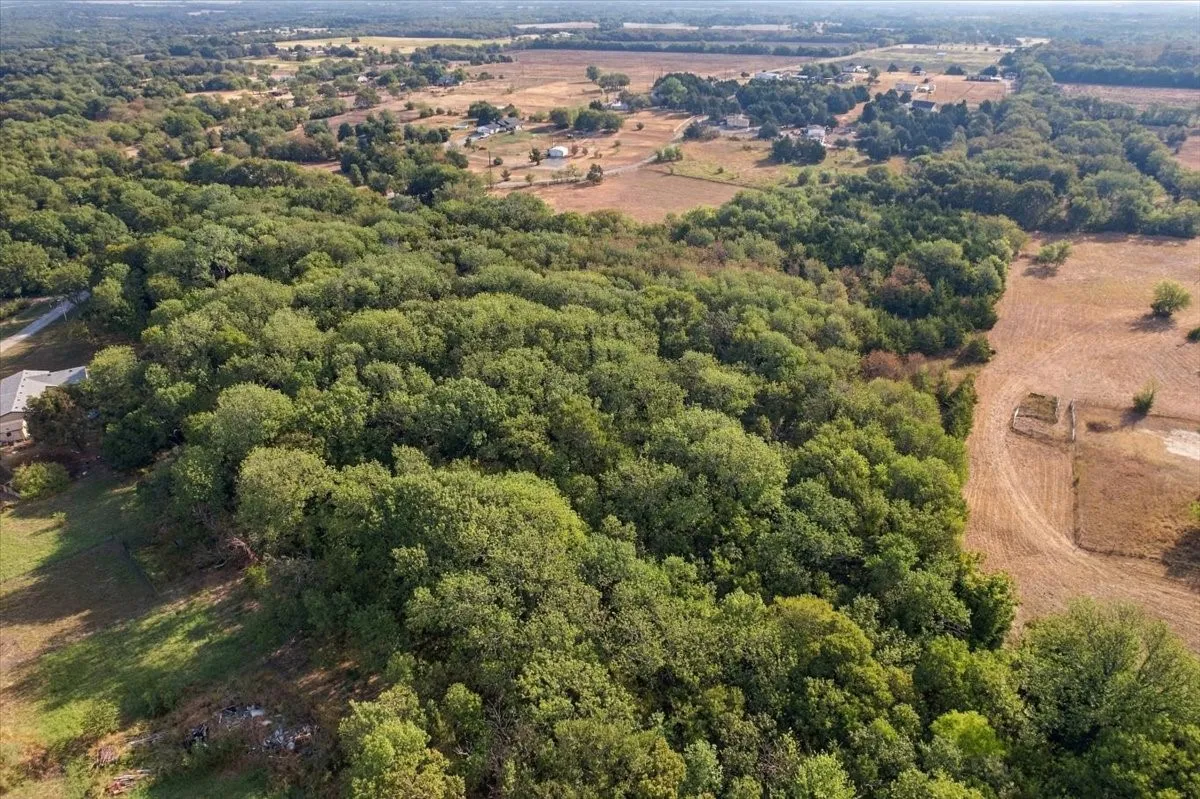 Unimproved Land For Sale in Fannin County , 435 County Road 4446, Whitewright, Texas 75491, 0, 0, Garage spaces, 0 Sqft, built in 2000, mls#21404335, Real Estate Agent in Whitewright, Homes For Sale in Fannin county, Homes For Sale in Whitewright, Realtor in Whitewright Texas, Real Estate Brokerage Independent Realty Texas, Luminita Cordes Realtor