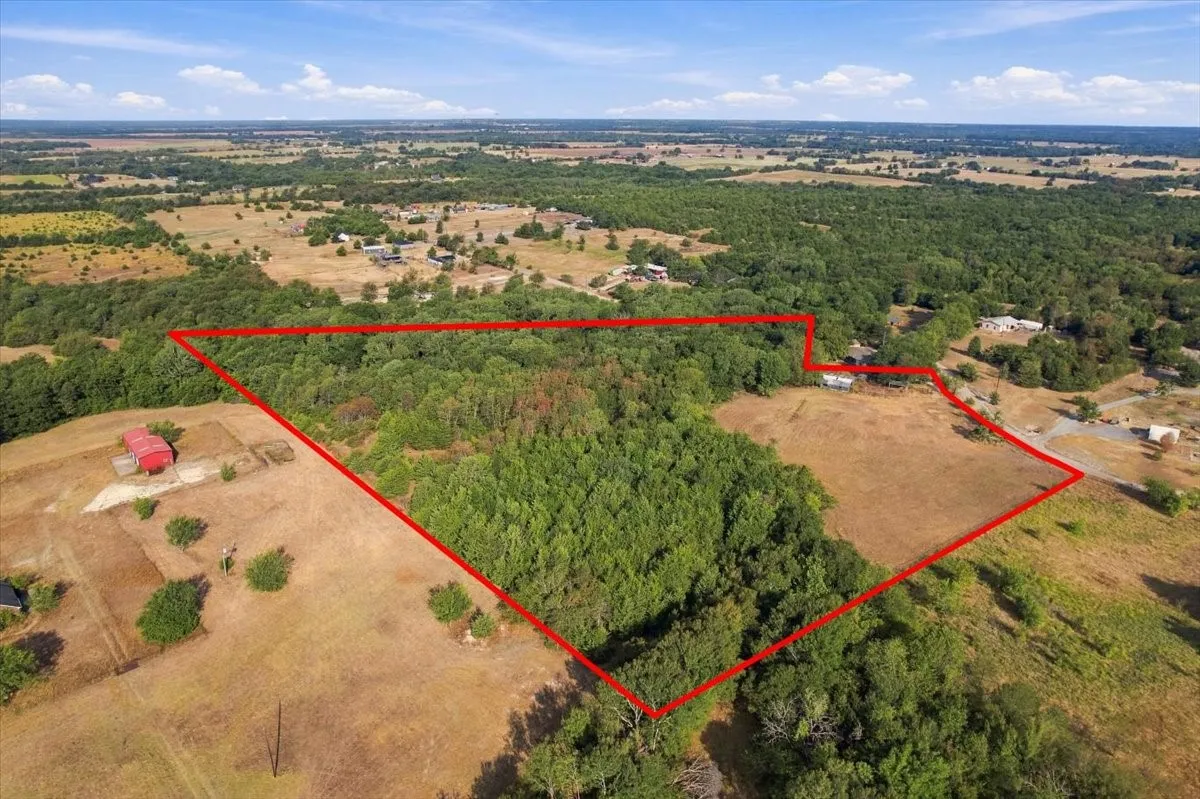 Unimproved Land For Sale in Fannin County , 435 County Road 4446, Whitewright, Texas 75491, 0, 0, Garage spaces, 0 Sqft, built in 2000, mls#21404335, Real Estate Agent in Whitewright, Homes For Sale in Fannin county, Homes For Sale in Whitewright, Realtor in Whitewright Texas, Real Estate Brokerage Independent Realty Texas, Luminita Cordes Realtor