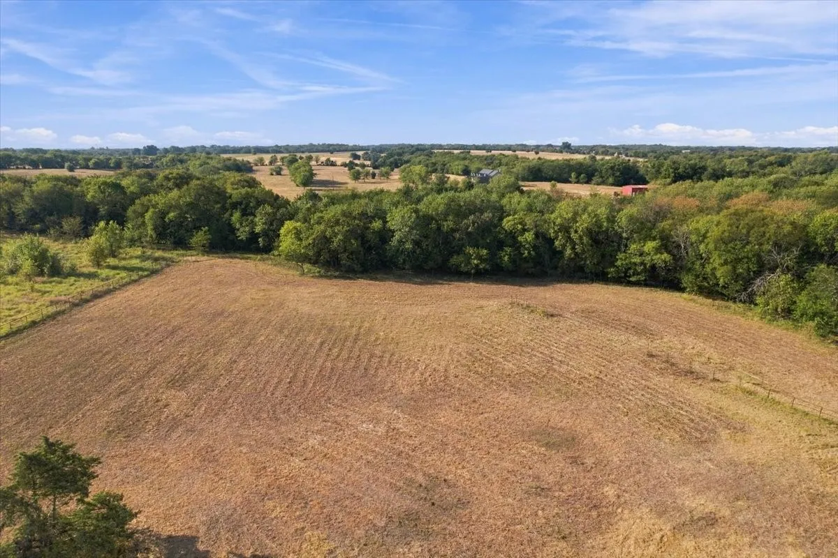 Unimproved Land For Sale in Fannin County , 435 County Road 4446, Whitewright, Texas 75491, 0, 0, Garage spaces, 0 Sqft, built in 2000, mls#21404335, Real Estate Agent in Whitewright, Homes For Sale in Fannin county, Homes For Sale in Whitewright, Realtor in Whitewright Texas, Real Estate Brokerage Independent Realty Texas, Luminita Cordes Realtor