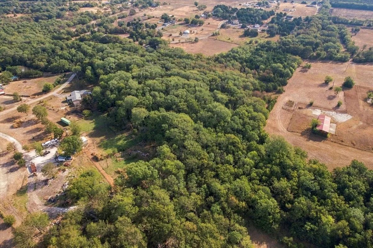 Unimproved Land For Sale in Fannin County , 435 County Road 4446, Whitewright, Texas 75491, 0, 0, Garage spaces, 0 Sqft, built in 2000, mls#21404335, Real Estate Agent in Whitewright, Homes For Sale in Fannin county, Homes For Sale in Whitewright, Realtor in Whitewright Texas, Real Estate Brokerage Independent Realty Texas, Luminita Cordes Realtor