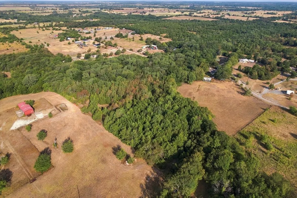 Unimproved Land For Sale in Fannin County , 435 County Road 4446, Whitewright, Texas 75491, 0, 0, Garage spaces, 0 Sqft, built in 2000, mls#21404335, Real Estate Agent in Whitewright, Homes For Sale in Fannin county, Homes For Sale in Whitewright, Realtor in Whitewright Texas, Real Estate Brokerage Independent Realty Texas, Luminita Cordes Realtor