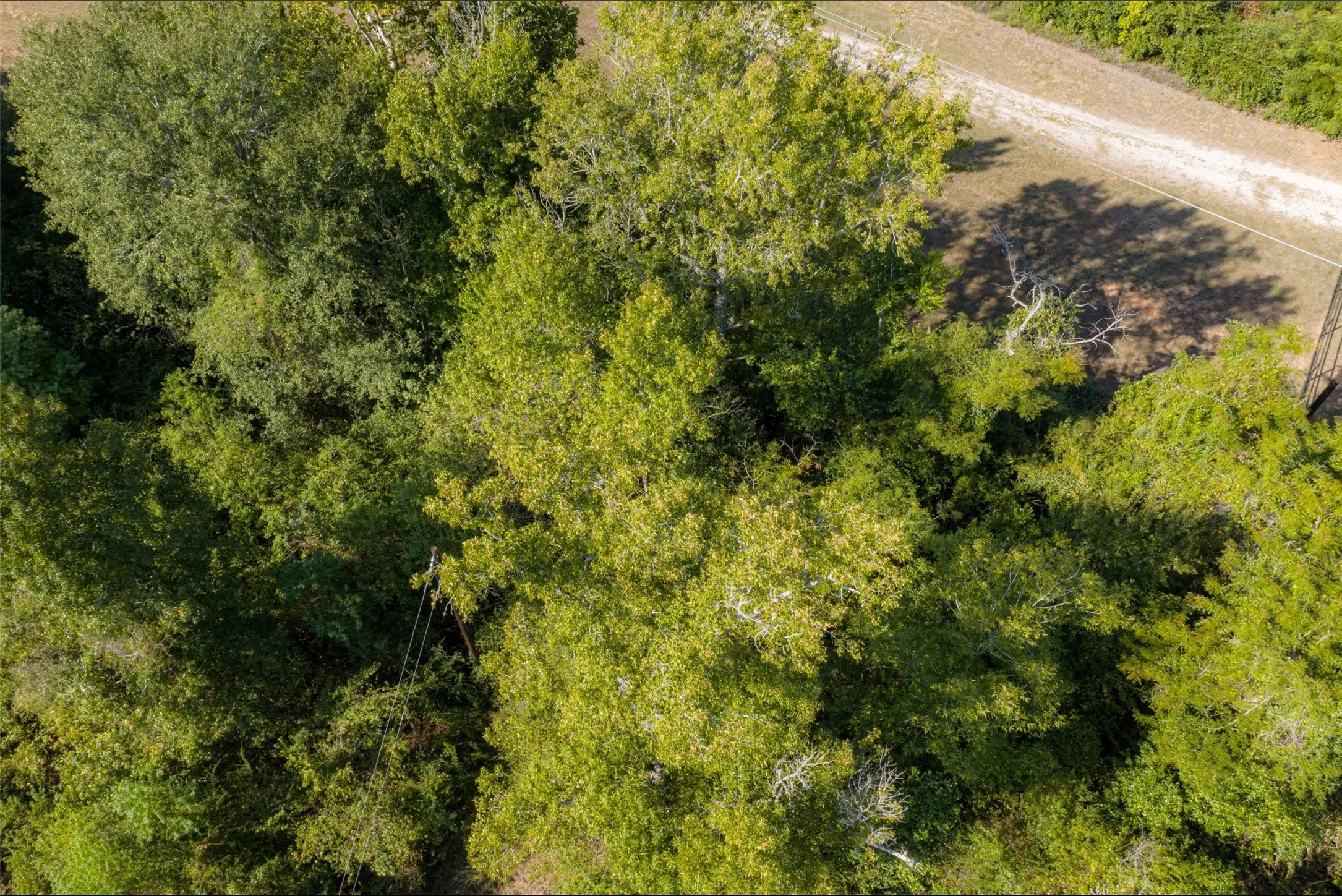 Single Family Residence For Sale in Anderson County , 5700 E State Highway 294, Elkhart, Texas 75839, 2 Bedroom, 1 Bathroom, Garage spaces, 1,120 Sqft, built in 1920, mls#21404996, Real Estate Agent in Elkhart, Homes For Sale in Anderson county, Homes For Sale in Elkhart, Realtor in Elkhart Texas, Real Estate Brokerage Independent Realty Texas, Luminita Cordes Realtor