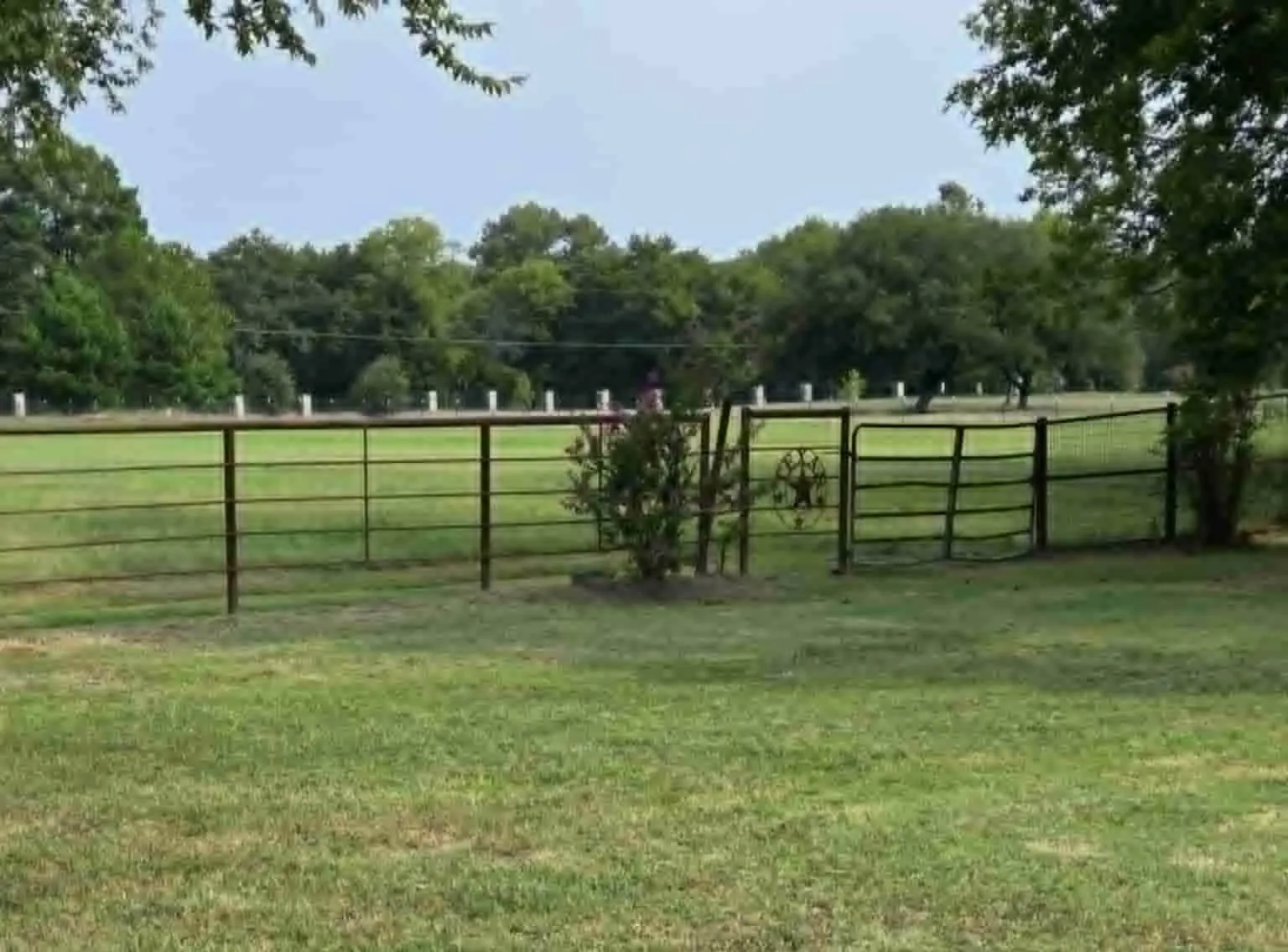 Front pasture
