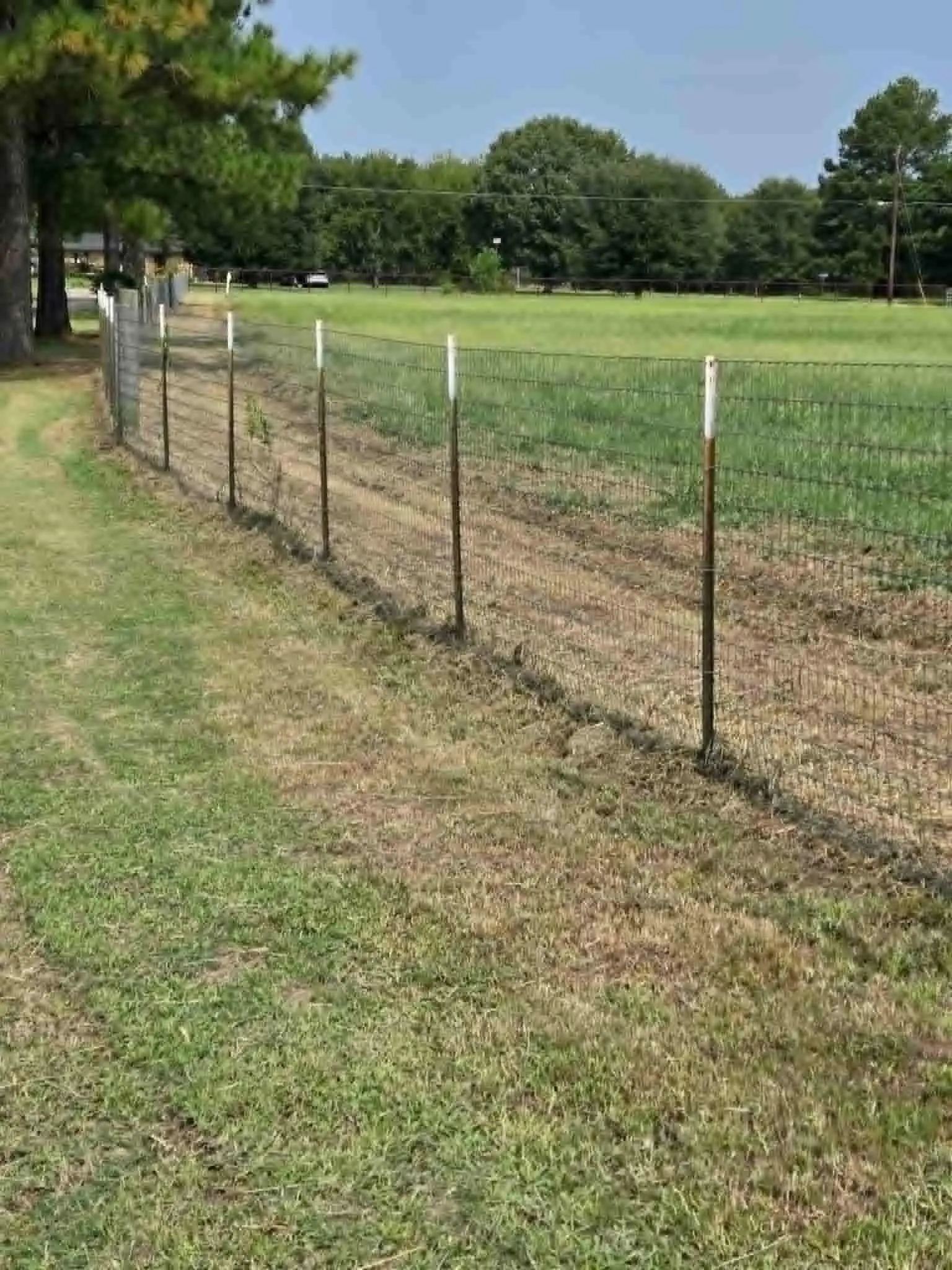 Pasture