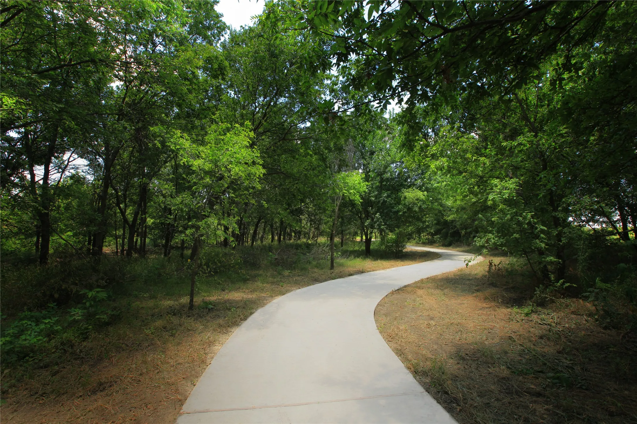 Beazer Homes Treeline