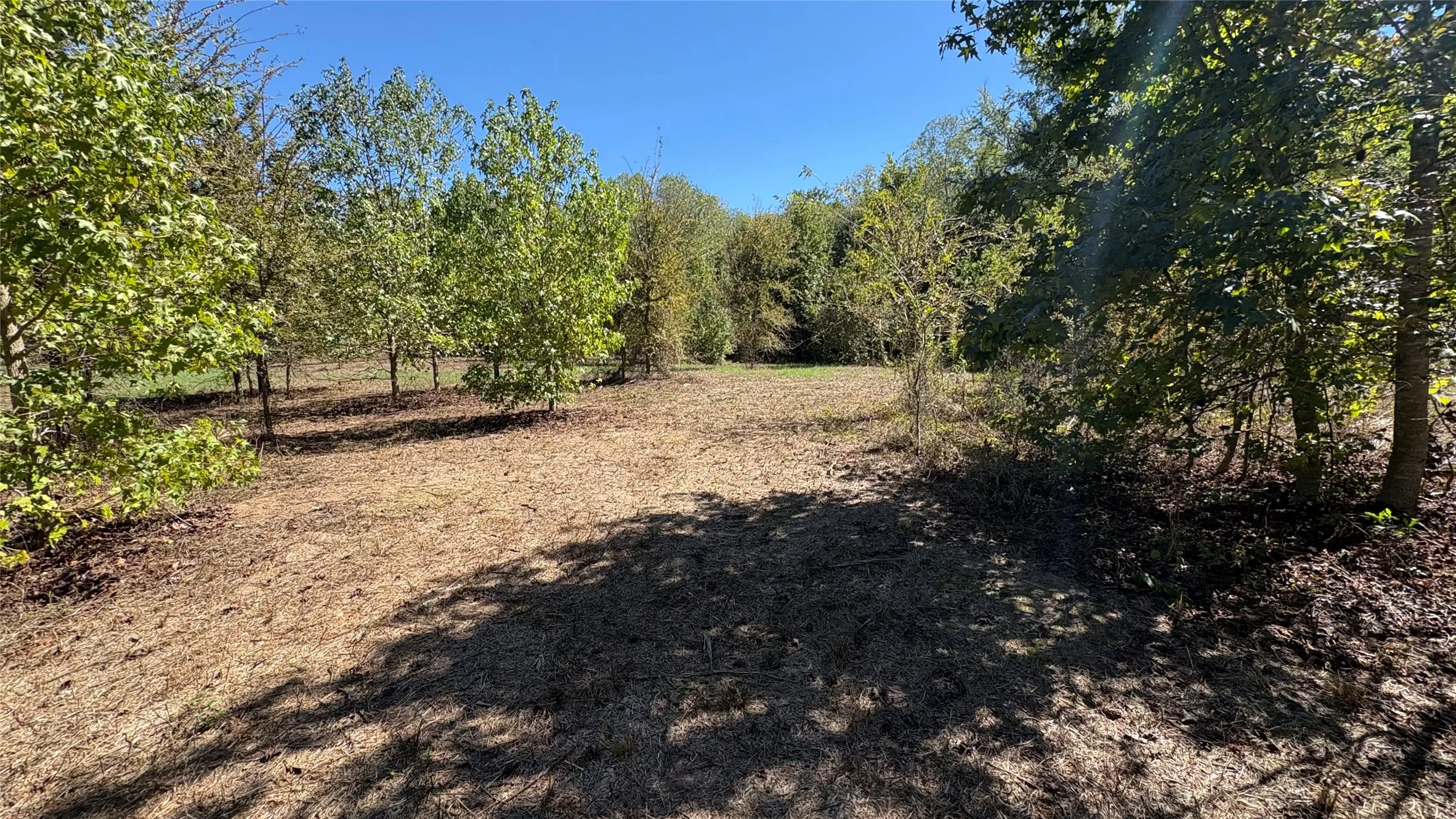 Unimproved Land For Sale in Wood County , 920 County Road 1226, Quitman, Texas 75783, 0, 0, Garage spaces, 0 Sqft, built in 0, mls#21399803, Real Estate Agent in Quitman, Homes For Sale in Wood county, Homes For Sale in Quitman, Realtor in Quitman Texas, Real Estate Brokerage Independent Realty Texas, Luminita Cordes Realtor