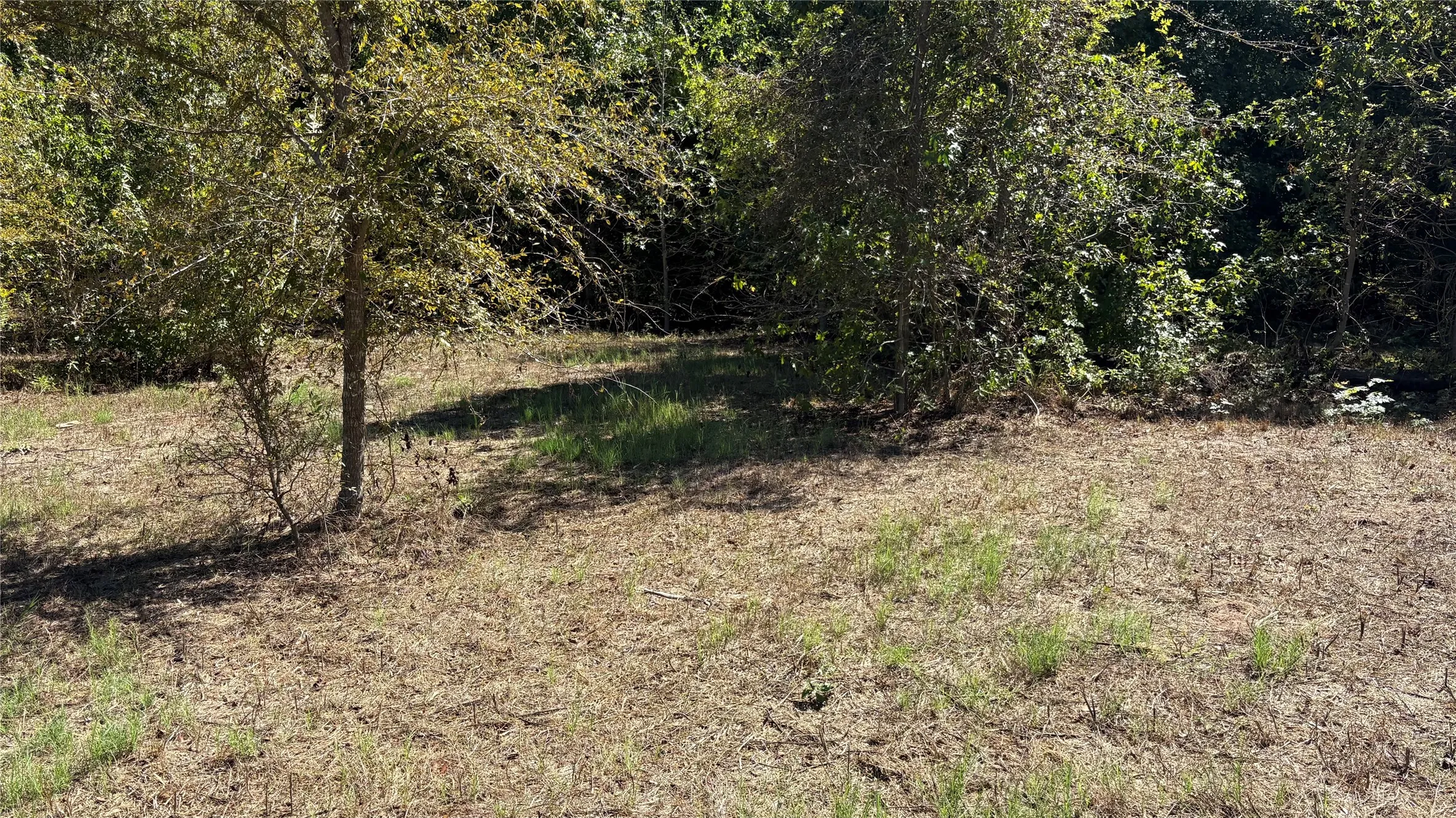 Unimproved Land For Sale in Wood County , 920 County Road 1226, Quitman, Texas 75783, 0, 0, Garage spaces, 0 Sqft, built in 0, mls#21399803, Real Estate Agent in Quitman, Homes For Sale in Wood county, Homes For Sale in Quitman, Realtor in Quitman Texas, Real Estate Brokerage Independent Realty Texas, Luminita Cordes Realtor
