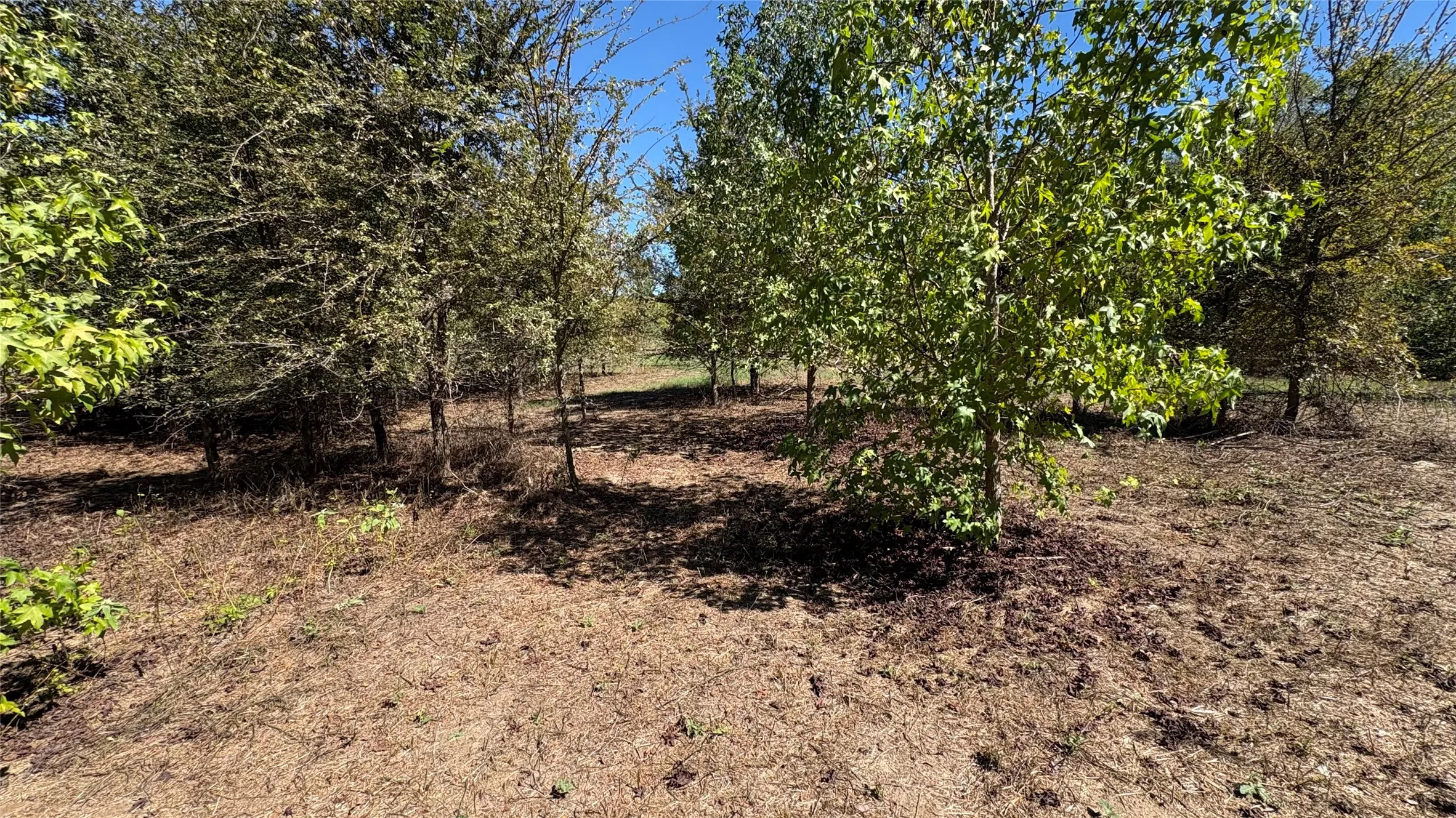 Unimproved Land For Sale in Wood County , 920 County Road 1226, Quitman, Texas 75783, 0, 0, Garage spaces, 0 Sqft, built in 0, mls#21399803, Real Estate Agent in Quitman, Homes For Sale in Wood county, Homes For Sale in Quitman, Realtor in Quitman Texas, Real Estate Brokerage Independent Realty Texas, Luminita Cordes Realtor
