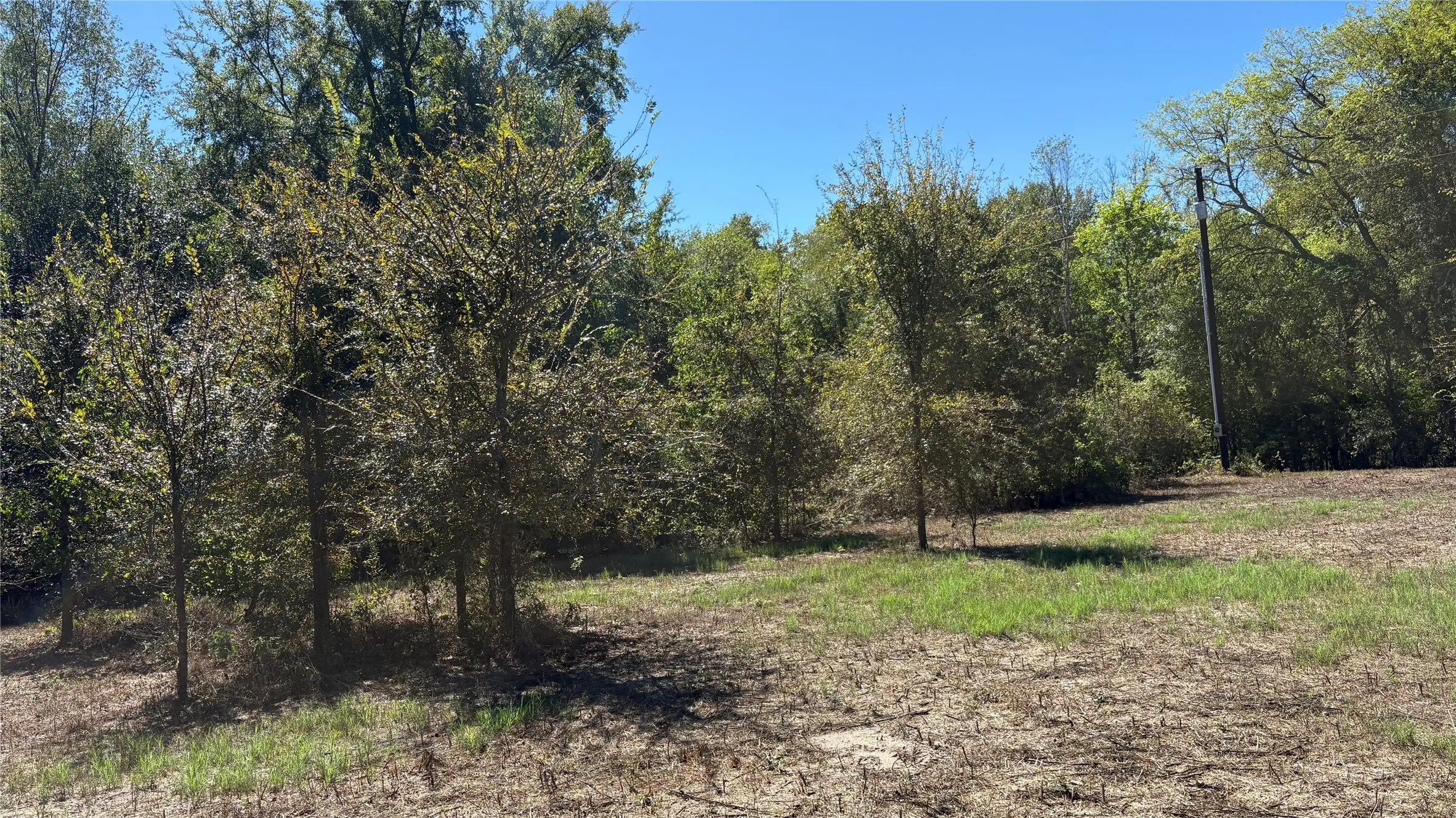 Unimproved Land For Sale in Wood County , 920 County Road 1226, Quitman, Texas 75783, 0, 0, Garage spaces, 0 Sqft, built in 0, mls#21399803, Real Estate Agent in Quitman, Homes For Sale in Wood county, Homes For Sale in Quitman, Realtor in Quitman Texas, Real Estate Brokerage Independent Realty Texas, Luminita Cordes Realtor