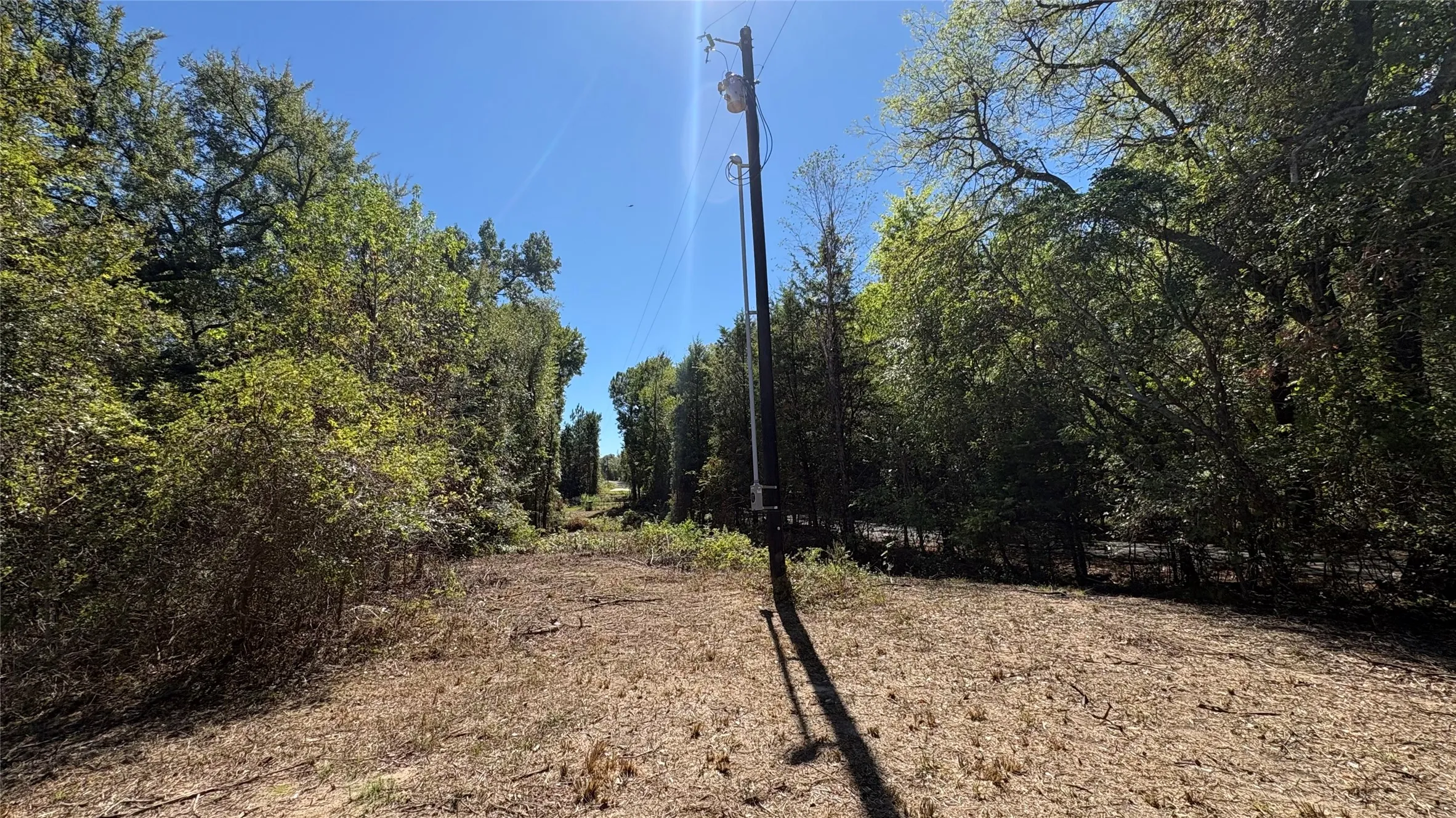 Unimproved Land For Sale in Wood County , 920 County Road 1226, Quitman, Texas 75783, 0, 0, Garage spaces, 0 Sqft, built in 0, mls#21399803, Real Estate Agent in Quitman, Homes For Sale in Wood county, Homes For Sale in Quitman, Realtor in Quitman Texas, Real Estate Brokerage Independent Realty Texas, Luminita Cordes Realtor