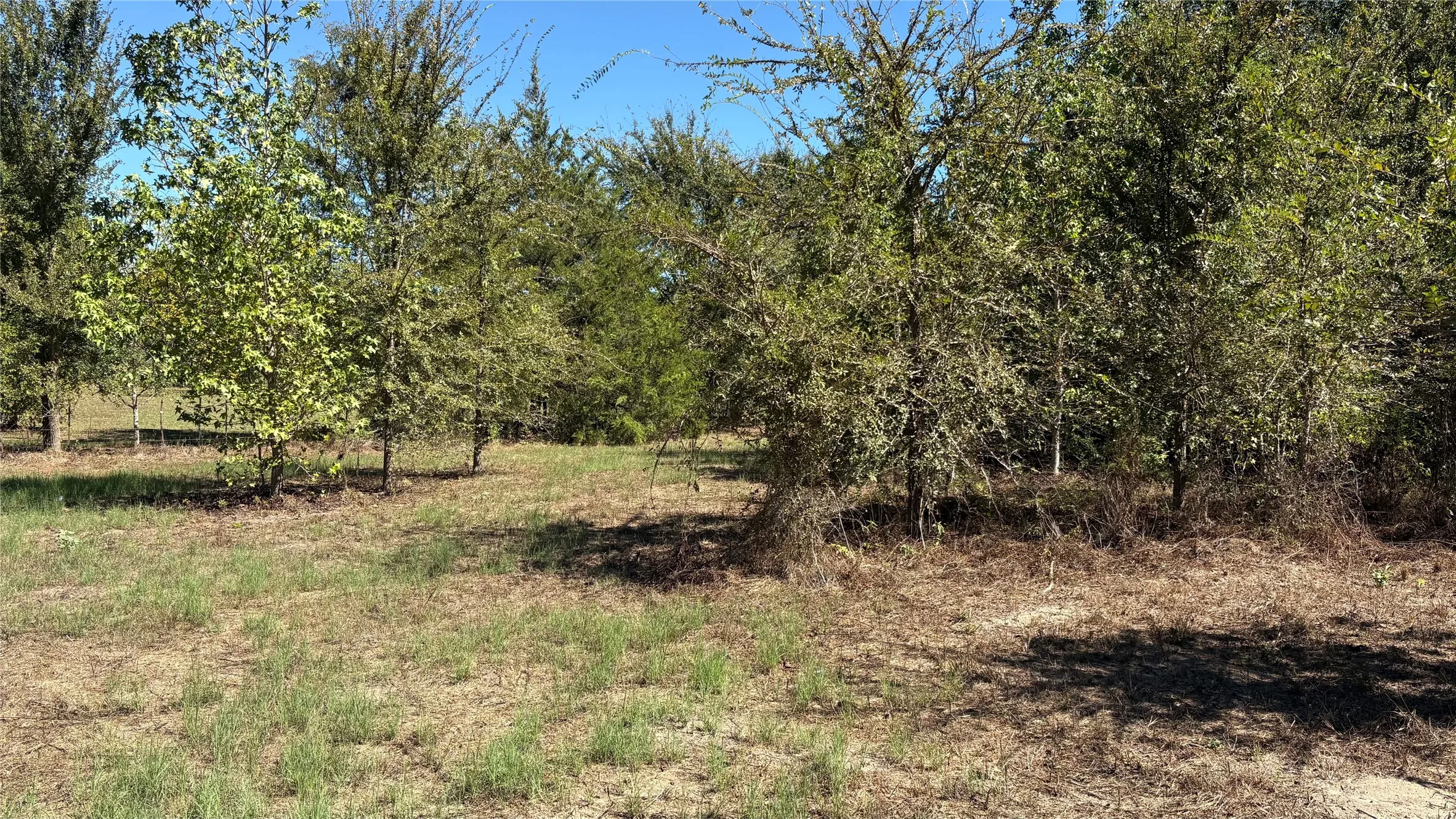 Unimproved Land For Sale in Wood County , 920 County Road 1226, Quitman, Texas 75783, 0, 0, Garage spaces, 0 Sqft, built in 0, mls#21399803, Real Estate Agent in Quitman, Homes For Sale in Wood county, Homes For Sale in Quitman, Realtor in Quitman Texas, Real Estate Brokerage Independent Realty Texas, Luminita Cordes Realtor