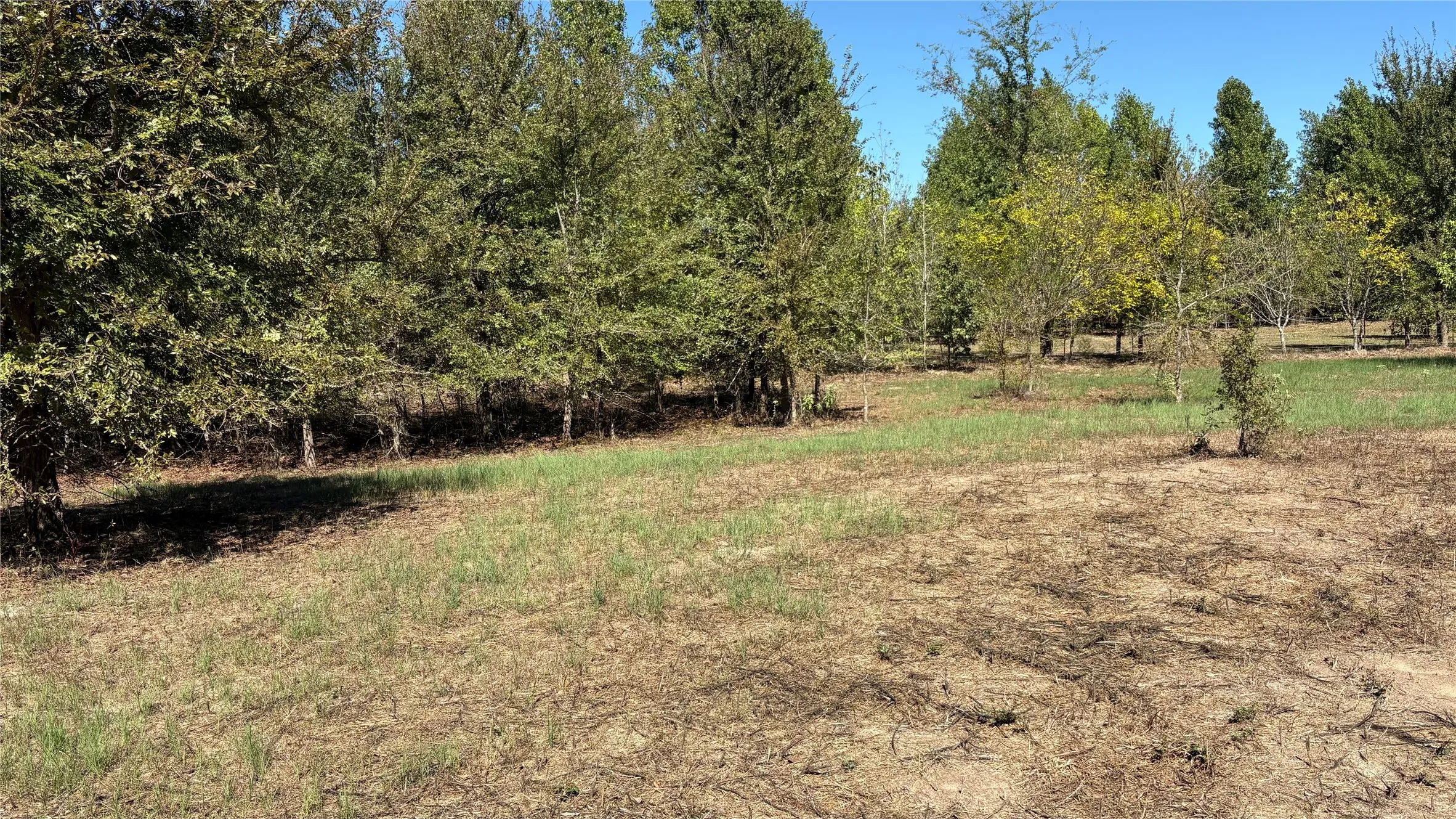 Unimproved Land For Sale