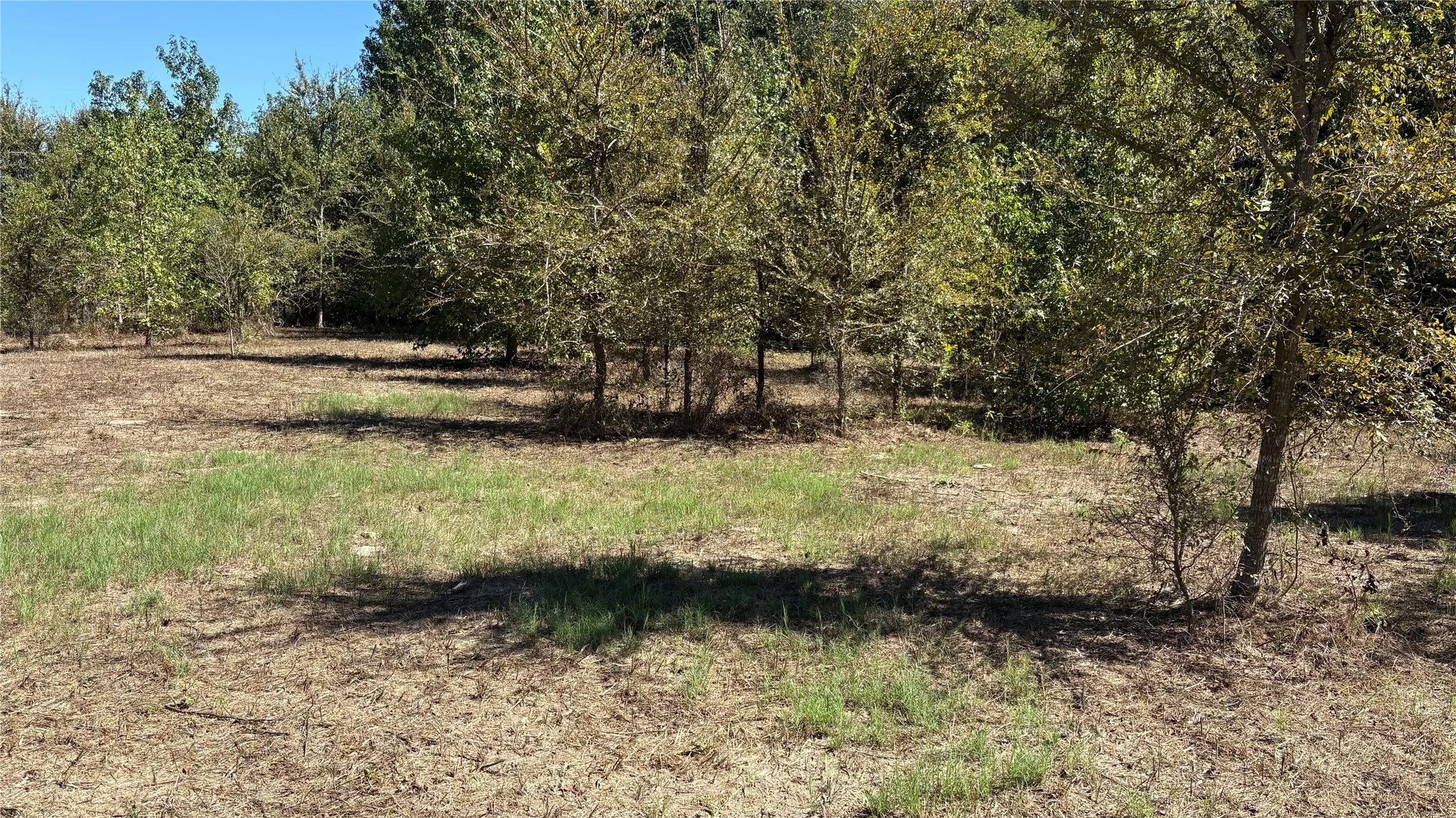 Unimproved Land For Sale in Wood County , 920 County Road 1226, Quitman, Texas 75783, 0, 0, Garage spaces, 0 Sqft, built in 0, mls#21399803, Real Estate Agent in Quitman, Homes For Sale in Wood county, Homes For Sale in Quitman, Realtor in Quitman Texas, Real Estate Brokerage Independent Realty Texas, Luminita Cordes Realtor
