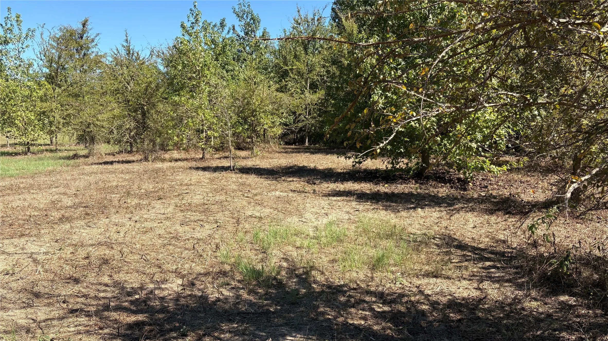 Unimproved Land For Sale in Wood County , 920 County Road 1226, Quitman, Texas 75783, 0, 0, Garage spaces, 0 Sqft, built in 0, mls#21399803, Real Estate Agent in Quitman, Homes For Sale in Wood county, Homes For Sale in Quitman, Realtor in Quitman Texas, Real Estate Brokerage Independent Realty Texas, Luminita Cordes Realtor