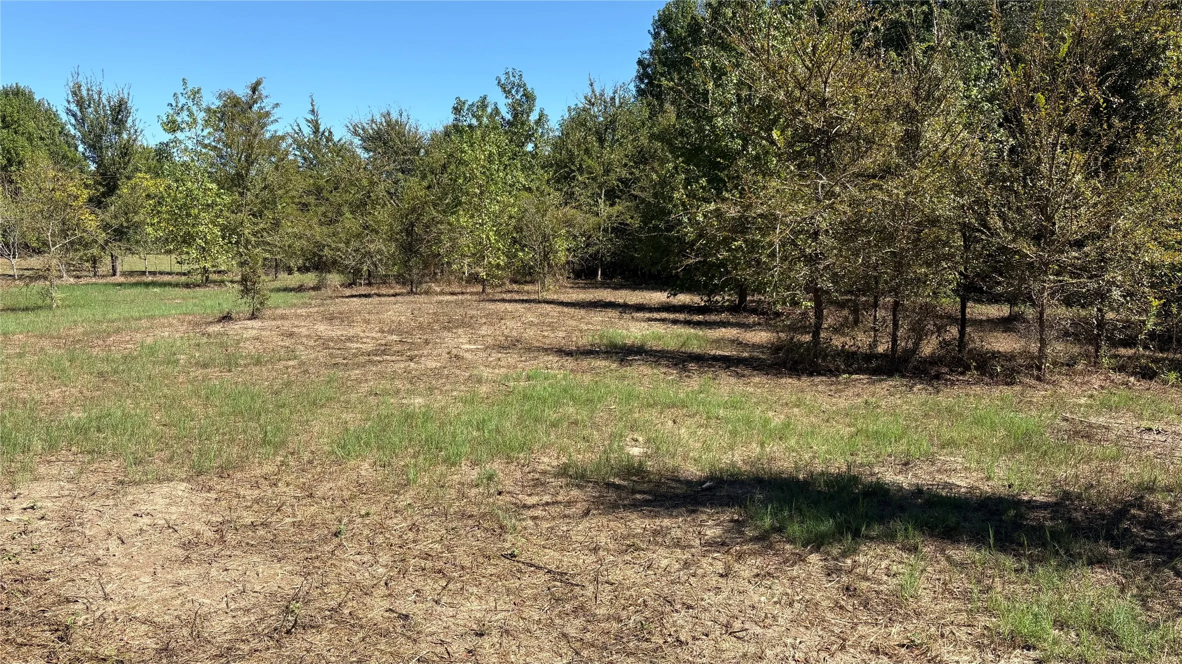 Unimproved Land For Sale in Wood County , 920 County Road 1226, Quitman, Texas 75783, 0, 0, Garage spaces, 0 Sqft, built in 0, mls#21399803, Real Estate Agent in Quitman, Homes For Sale in Wood county, Homes For Sale in Quitman, Realtor in Quitman Texas, Real Estate Brokerage Independent Realty Texas, Luminita Cordes Realtor