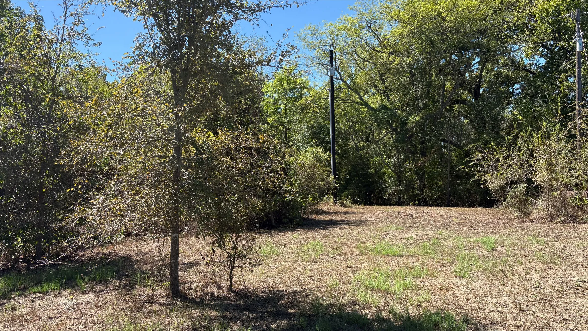Unimproved Land For Sale in Wood County , 920 County Road 1226, Quitman, Texas 75783, 0, 0, Garage spaces, 0 Sqft, built in 0, mls#21399803, Real Estate Agent in Quitman, Homes For Sale in Wood county, Homes For Sale in Quitman, Realtor in Quitman Texas, Real Estate Brokerage Independent Realty Texas, Luminita Cordes Realtor